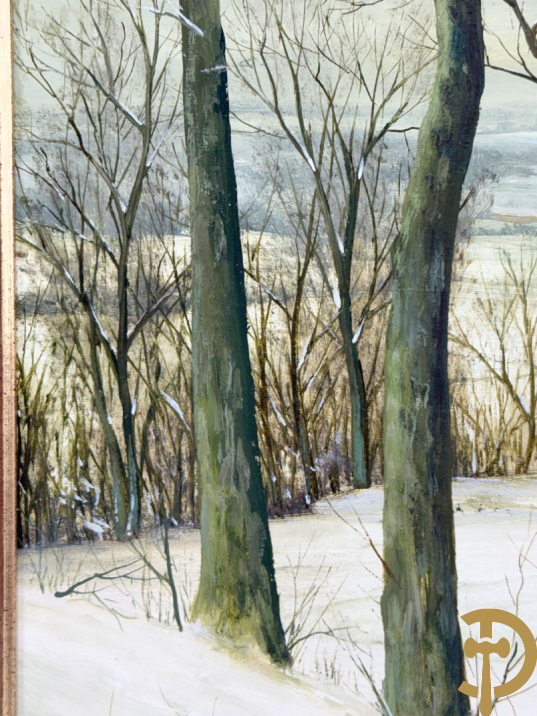 COSYNS Gies getekend 