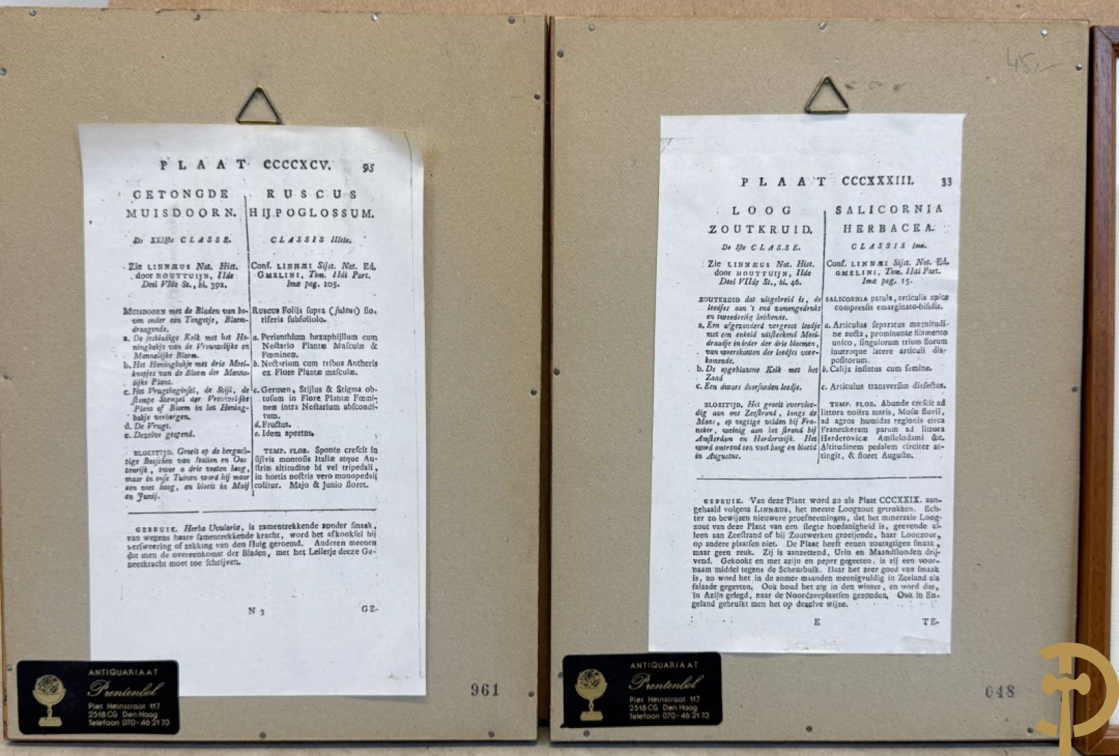 LEITNER J.S. fecit  - Set oude gravures met ingelijste medicinale planten