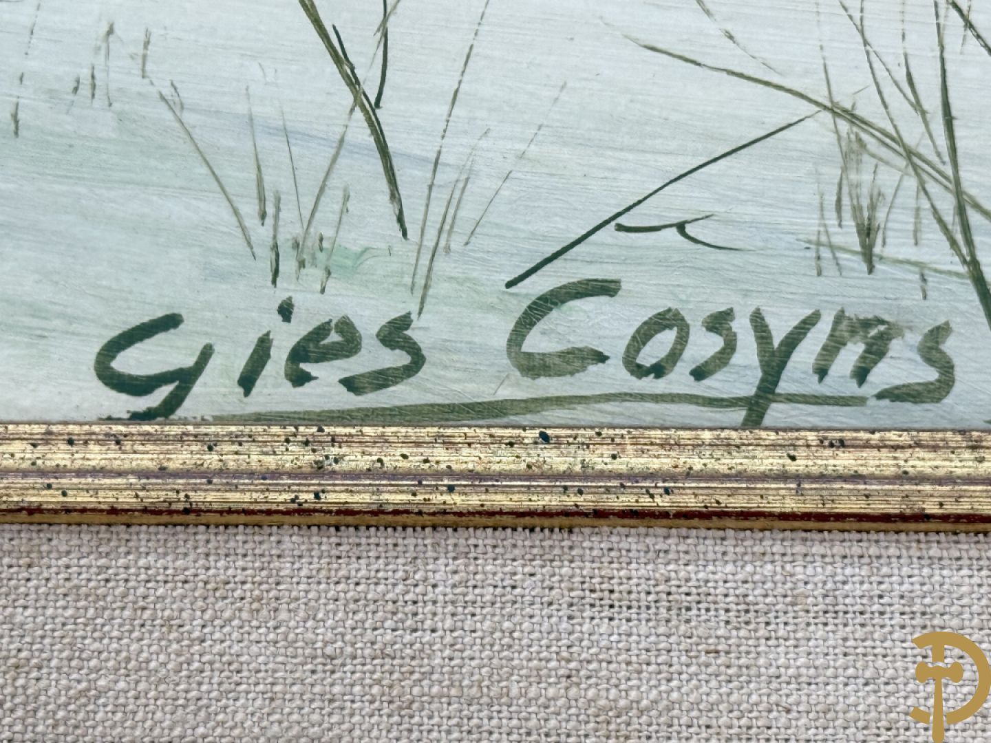 COSYNS Gies getekend 