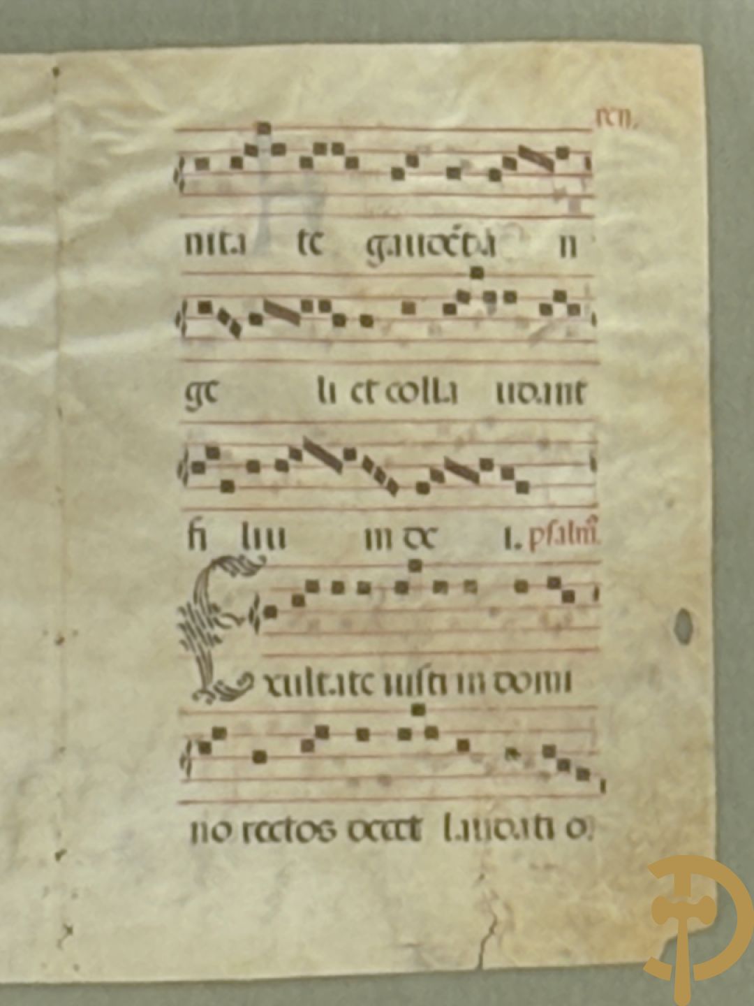 Perkamenten uittreksel uit een gezangenboek met Latijnse gekaligrafeerde letter