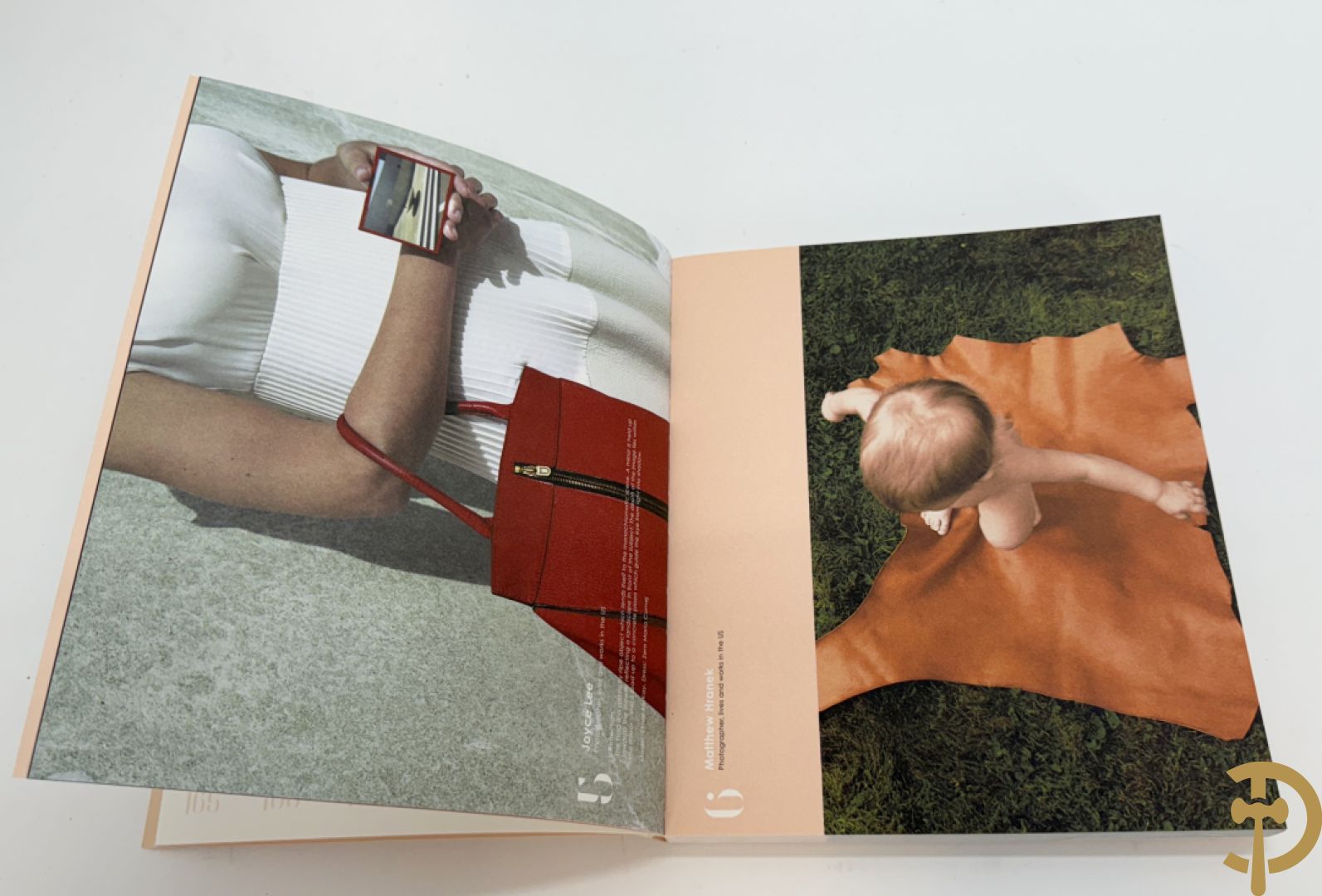 Bruine en zwart lederen handtas Delvaux + boek van Delvaux met documentatie