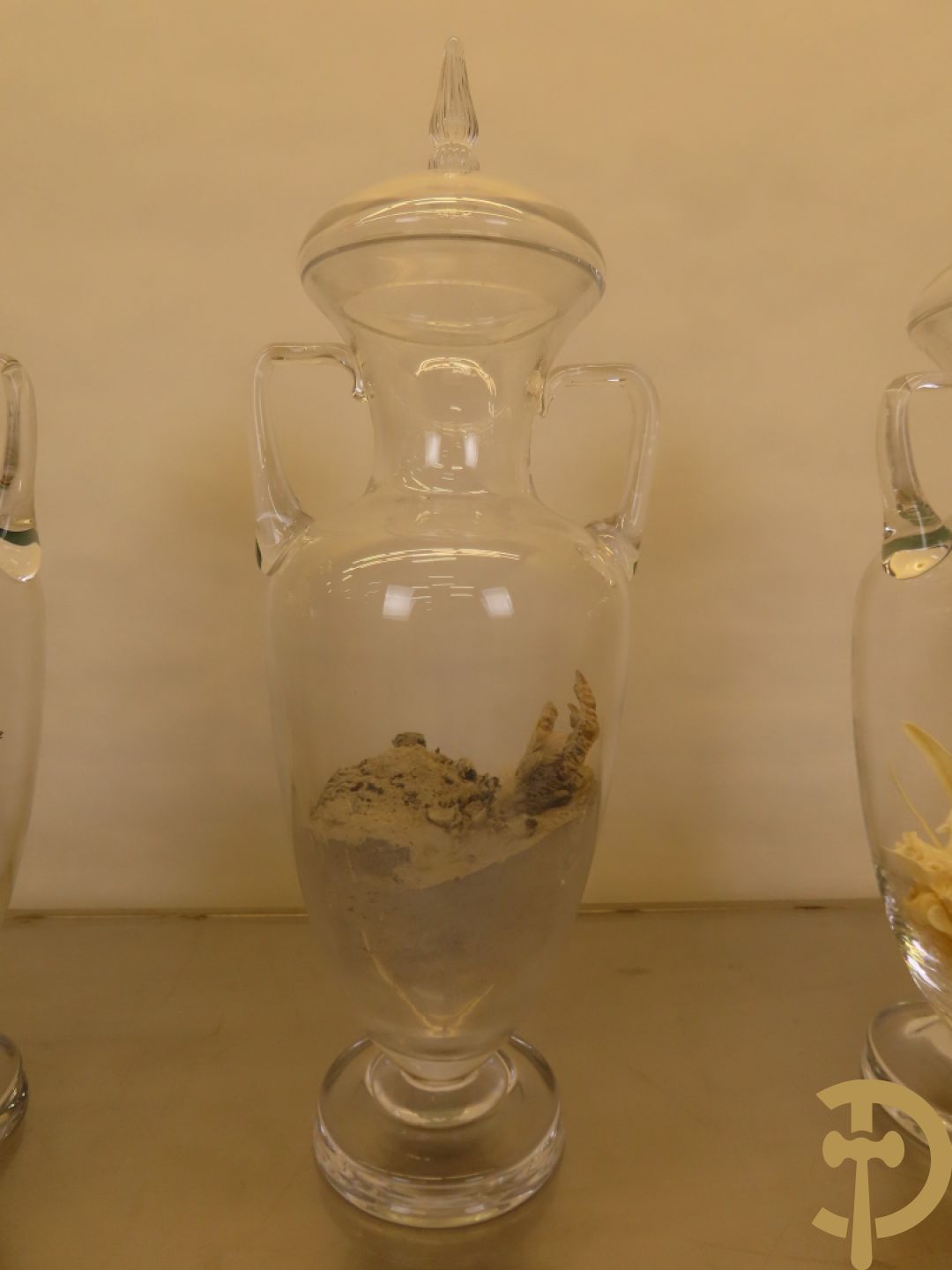 VANMECHELEN Koen 2008 