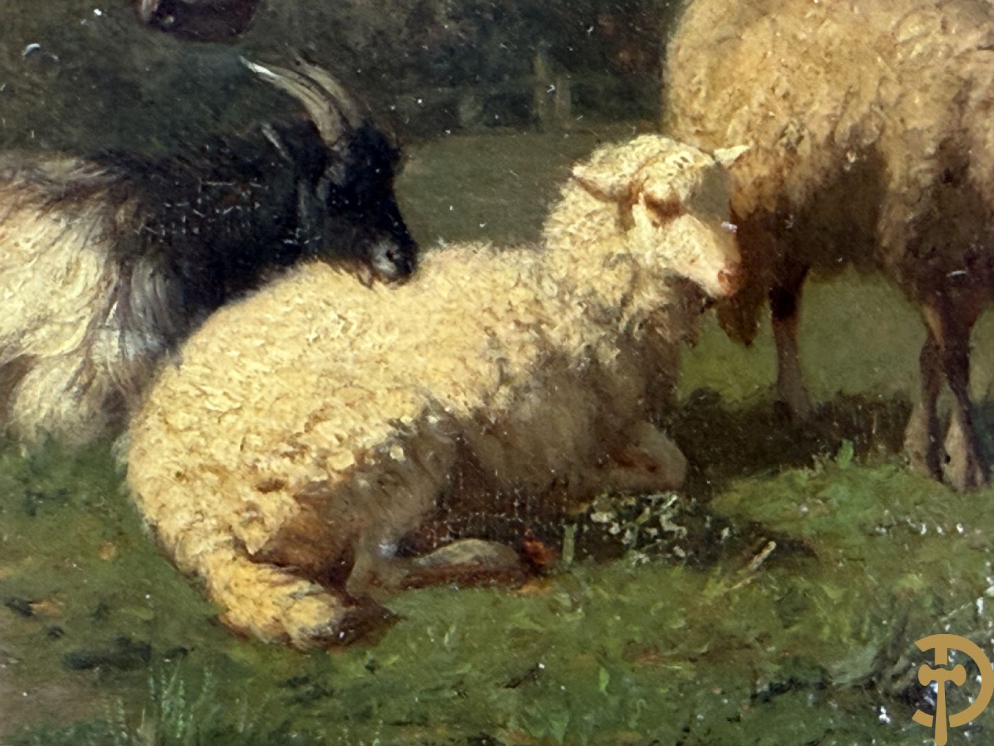 ROBBE getekend links 