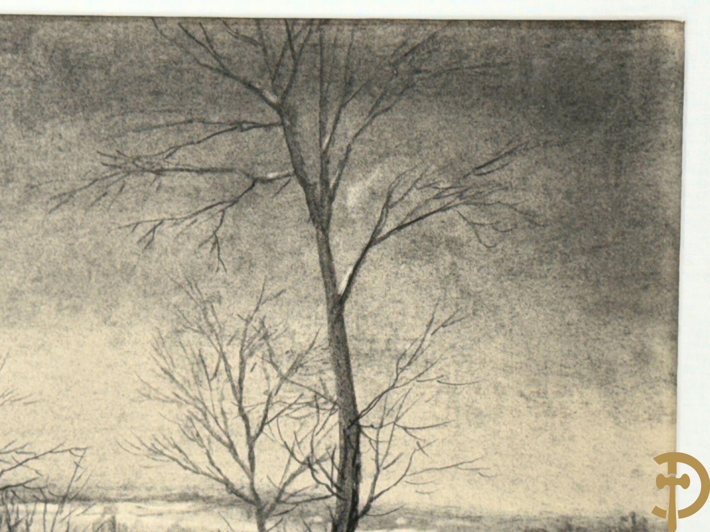 COSYNS Gies getekend 