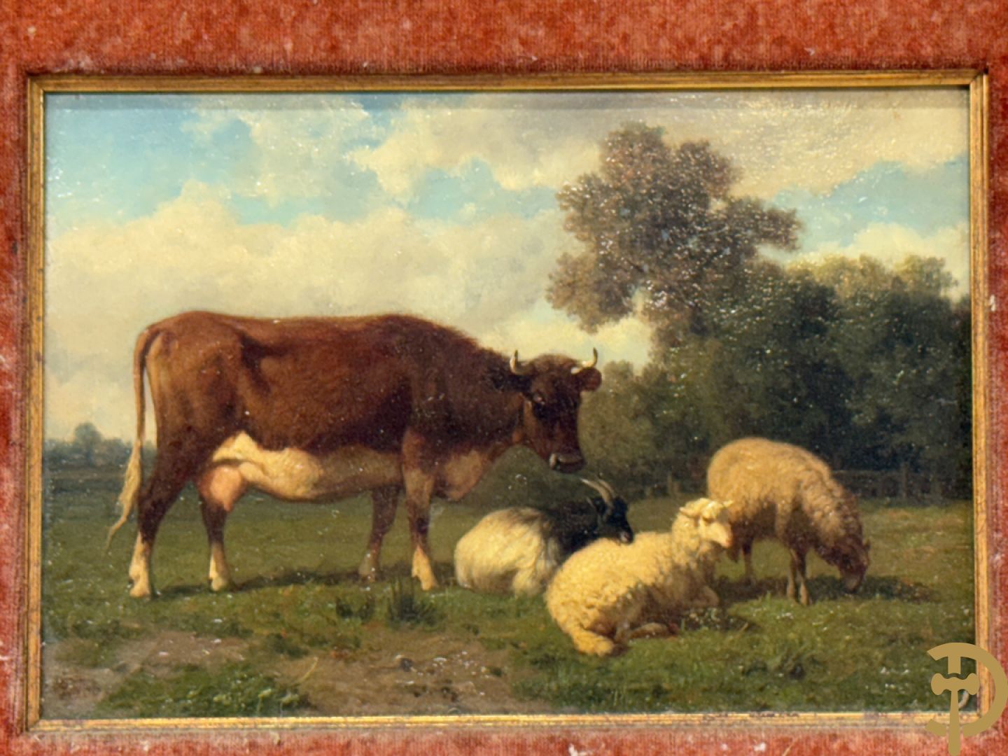 ROBBE getekend links 