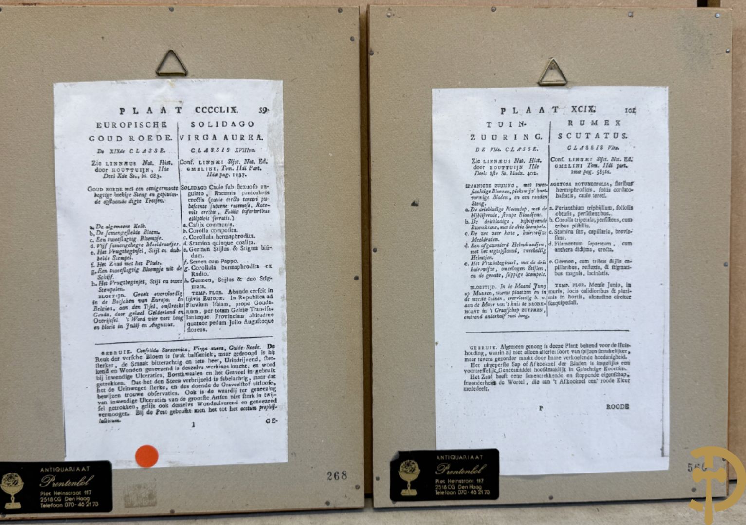 LEITNER J.S. fecit  - Set oude gravures met ingelijste medicinale planten