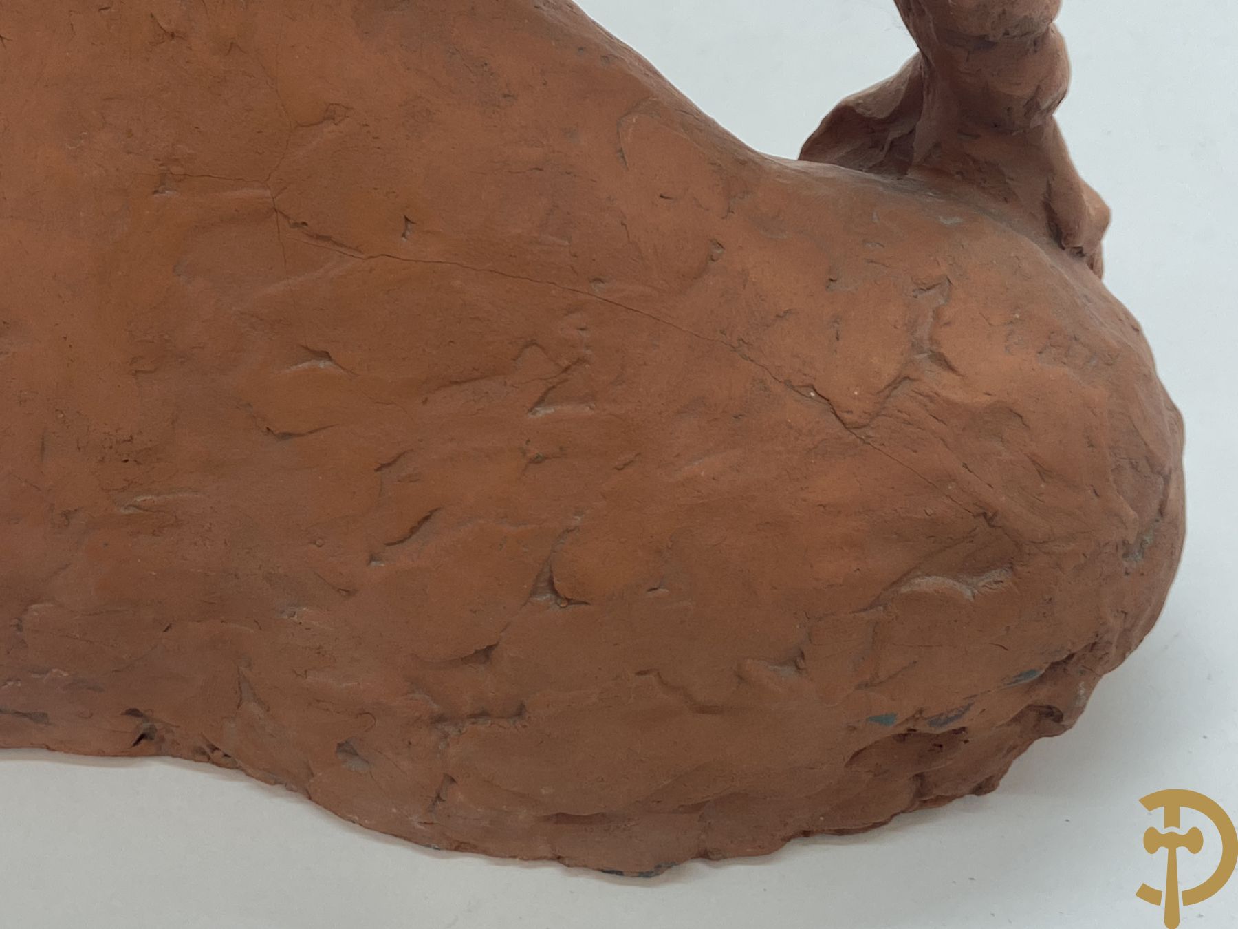 VAN DER KAAY Koos get. 1956 