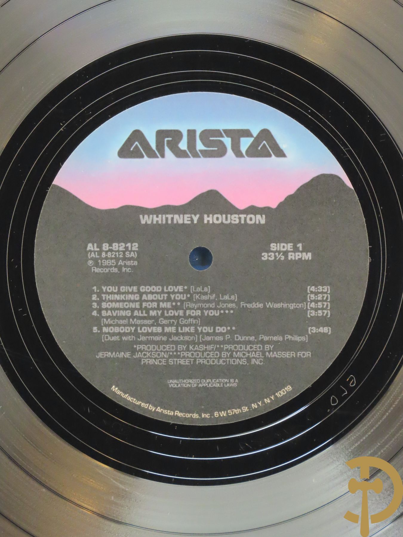 Platinum plaat van Witney Houston en Aretha Franklin door Arrista