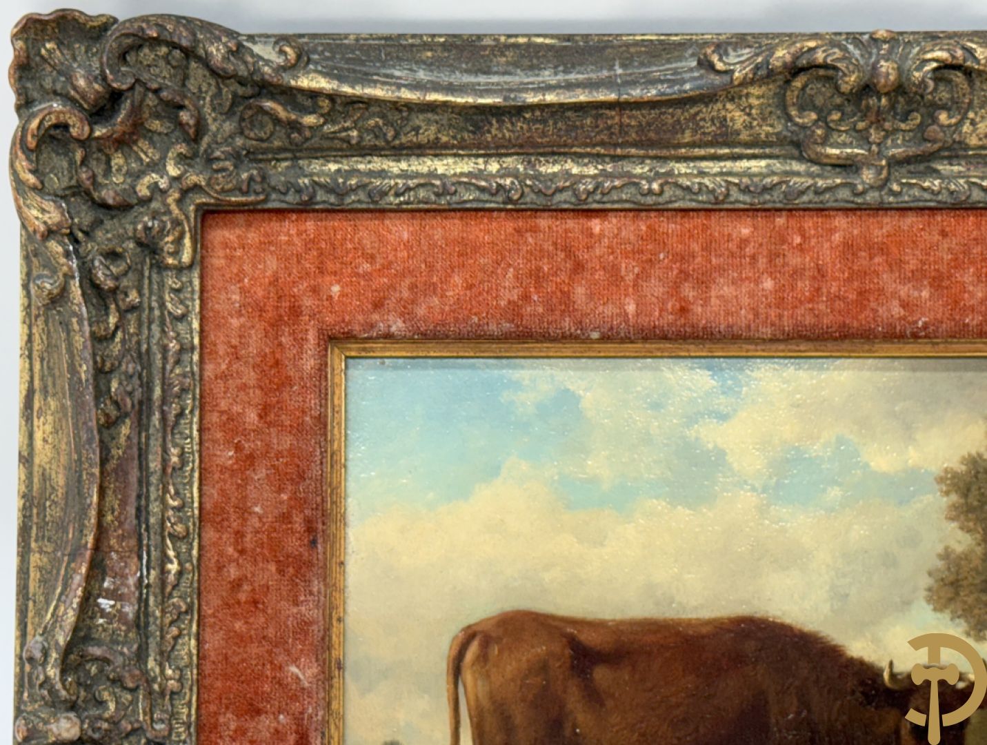 ROBBE getekend links 