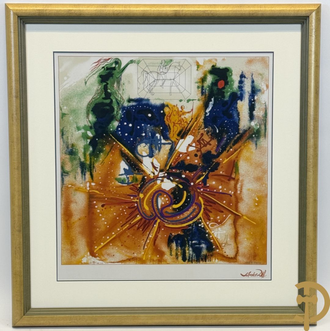 DALI Salvador getekend 