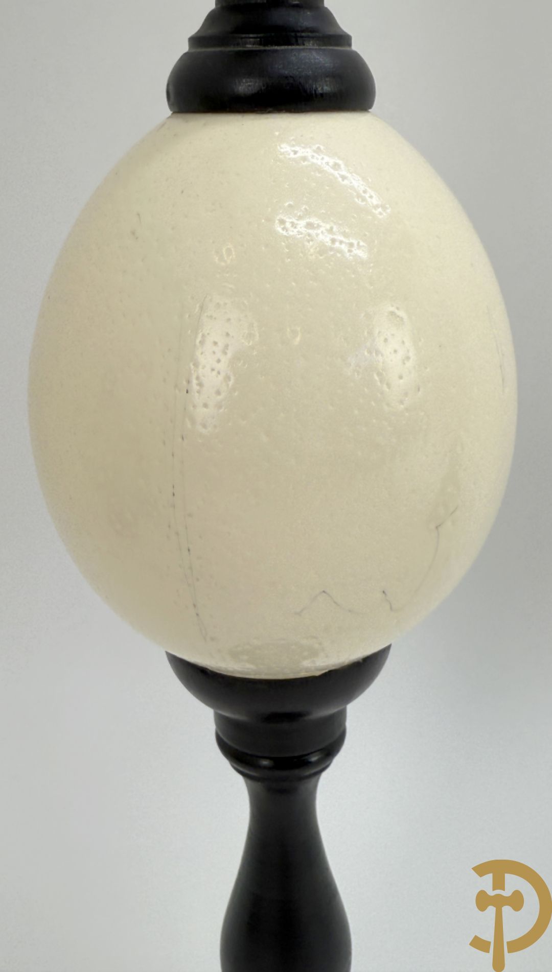 Vijf struisvogeleieren op zwart houten statief