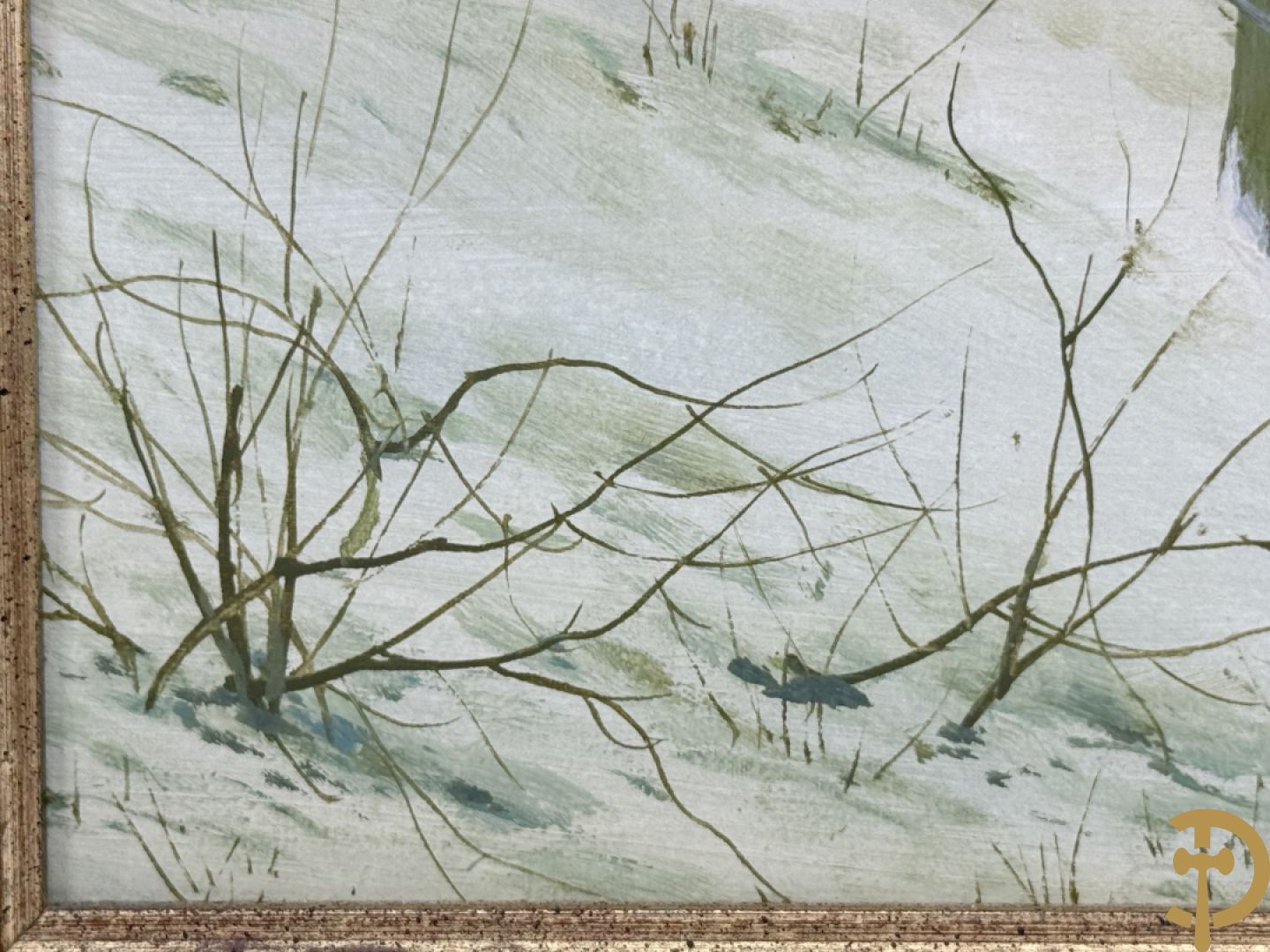 COSYNS Gies getekend 