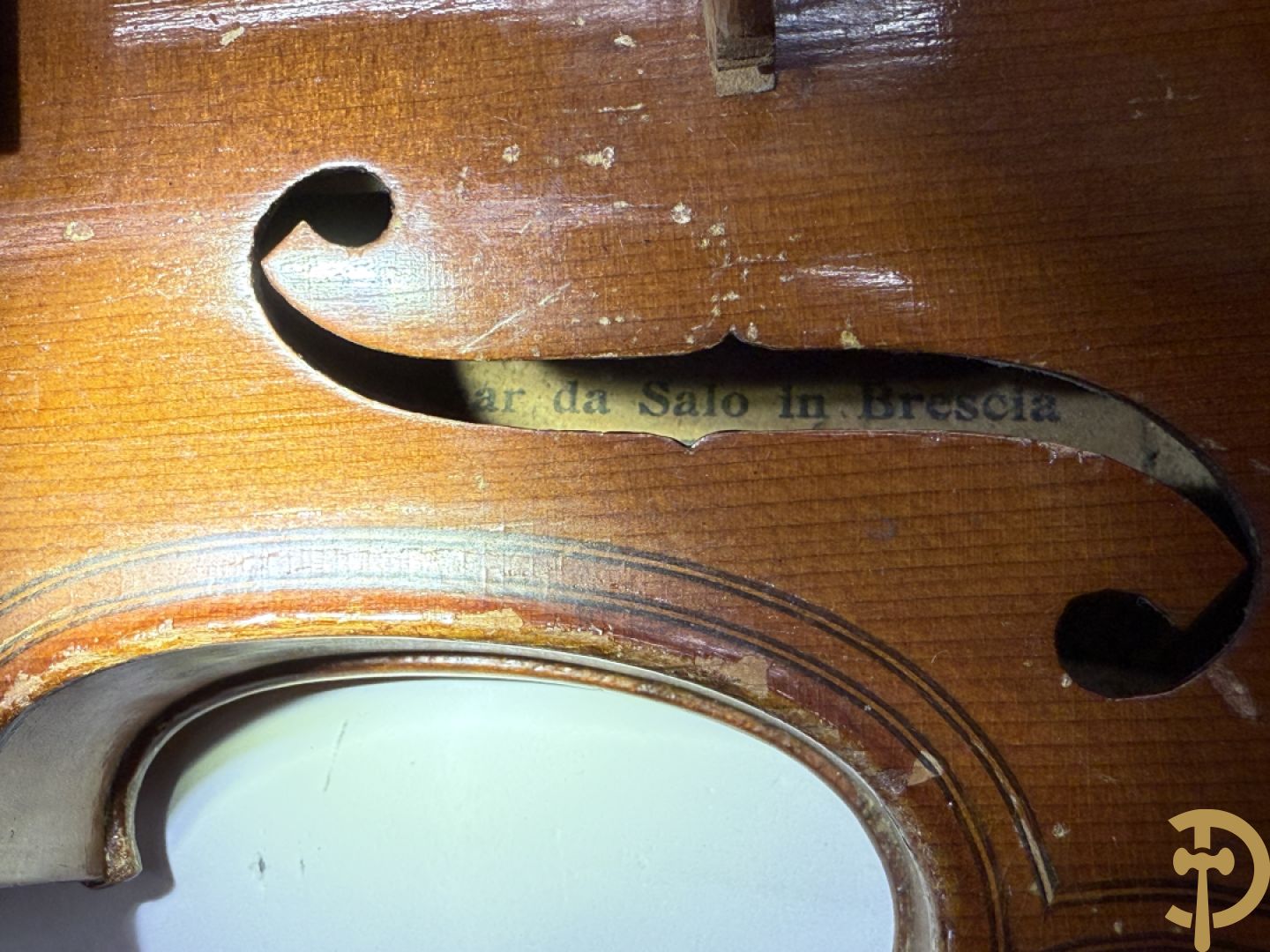 Oude viool, Caspar Da Salo N. Brescia getekend binnenin