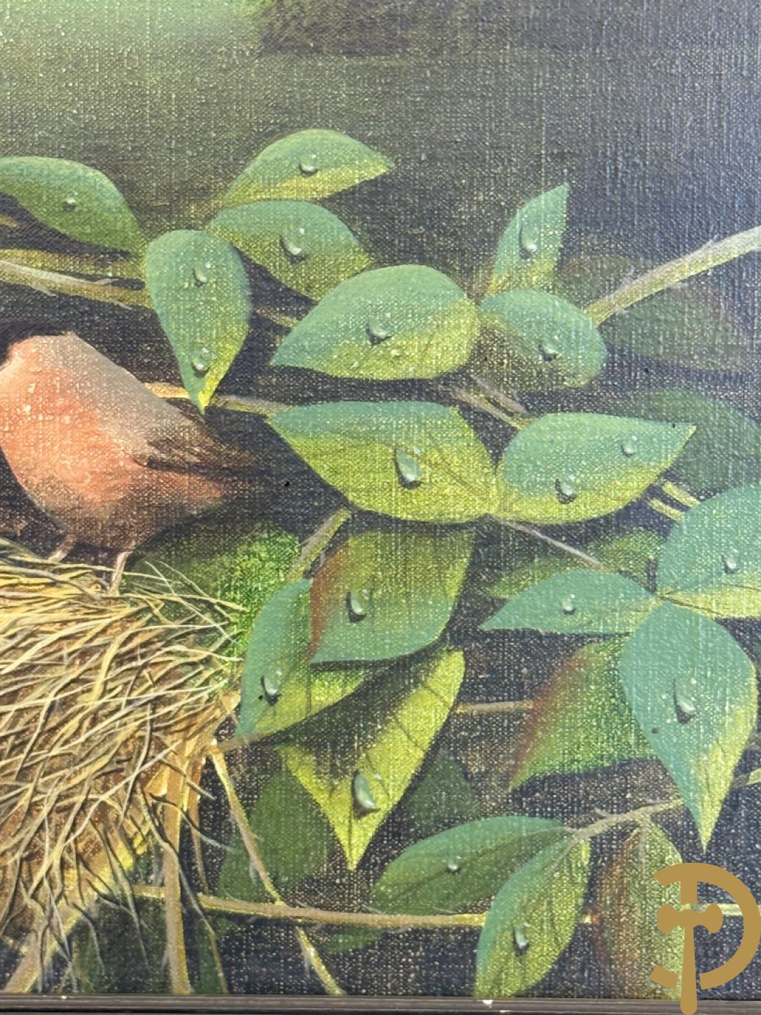 BOGAERT Frank getekend 