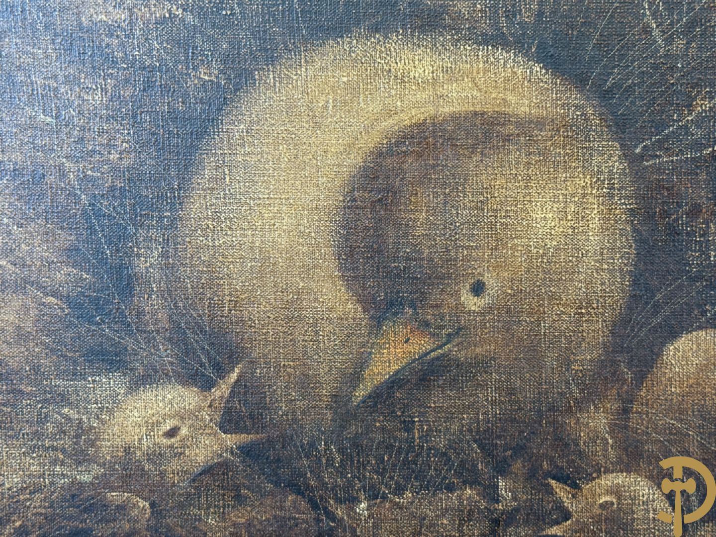 Ongetekend (Musin Maurice?)  