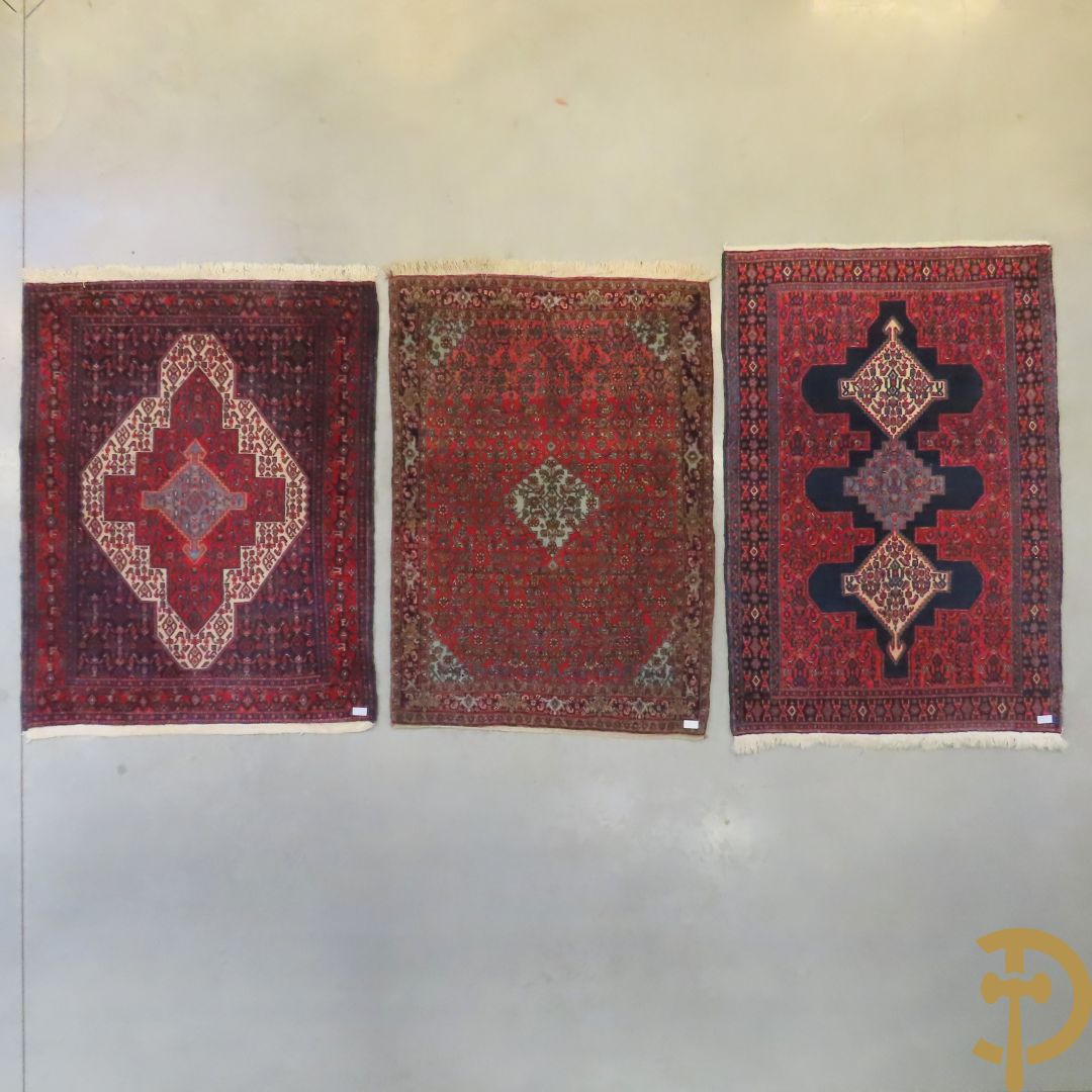 Perzisch handgeknoopt tapijt Senneh + Oosters handgeknoopt Bidjar + Oosters handgeknoopt tapijt Senneh