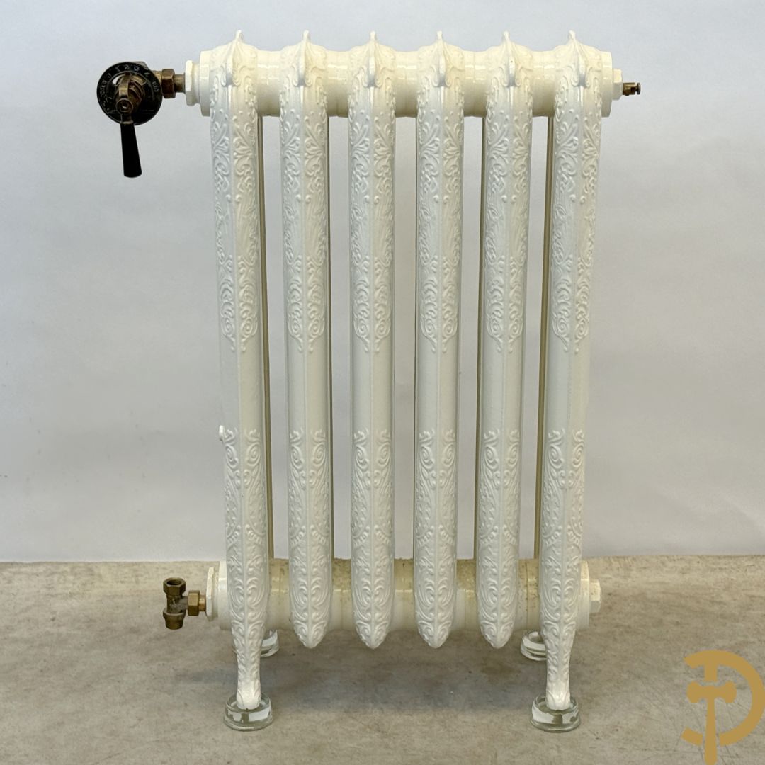 Gietijzeren Art Nouveau stijl radiator met 6 elementen op glazen pootjes - met bijhorende accessoires