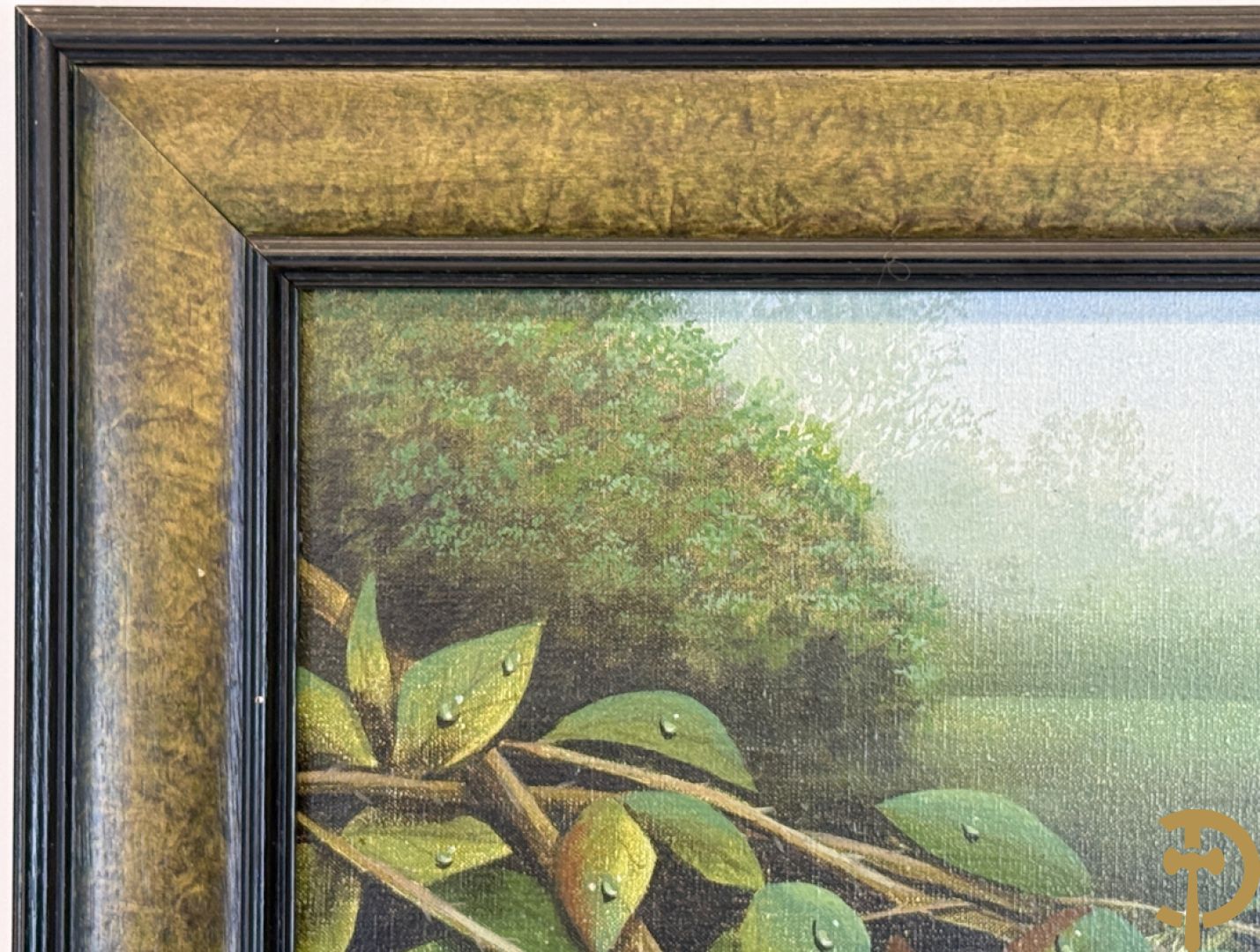 BOGAERT Frank getekend 