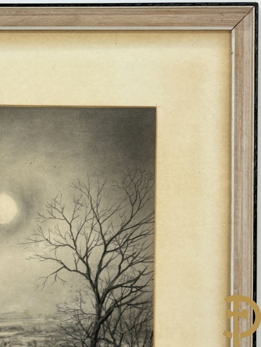 COSYNS Gies getekend 