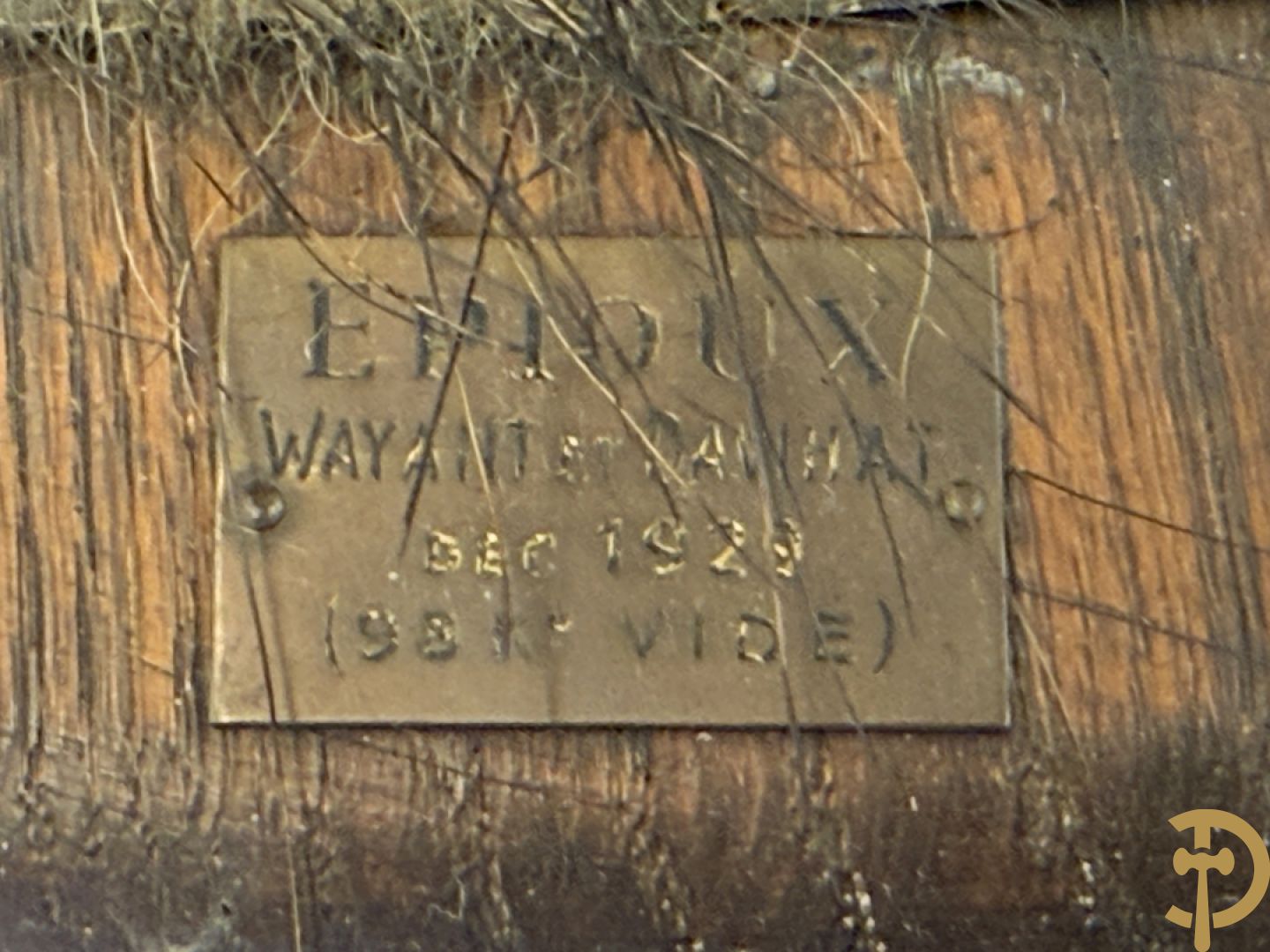 Opgezette everzwijnekop, gemerkt Van Tieghem