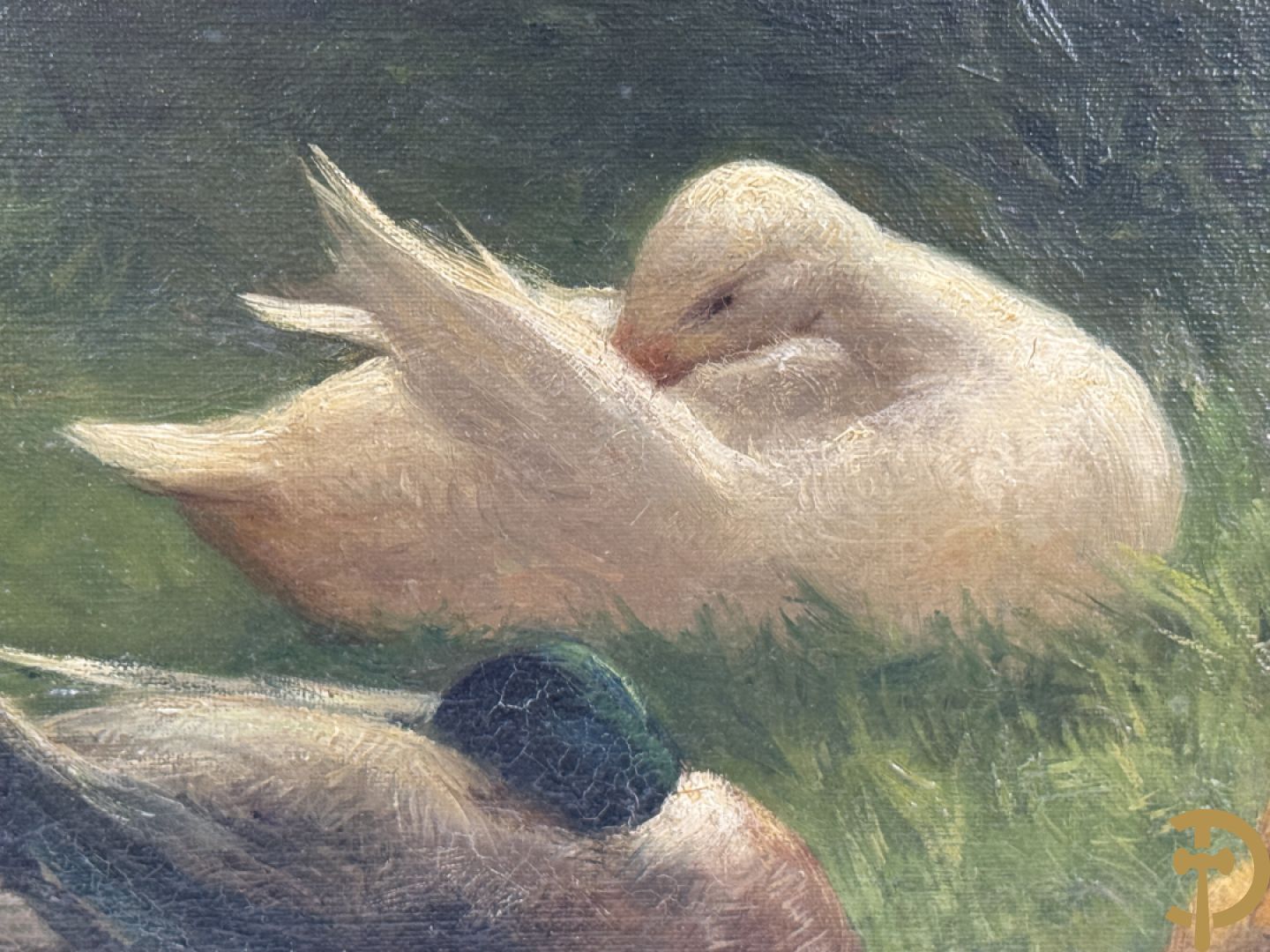 ARTZ Constant getekend 