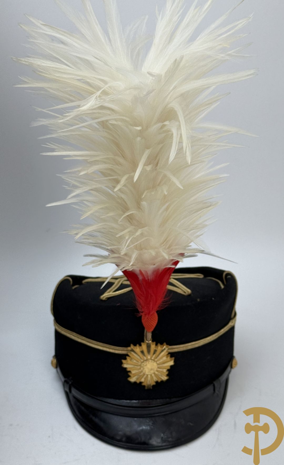 Japans uniform Dareifuku met kepie, epauletten, pluim en bijhorende foto