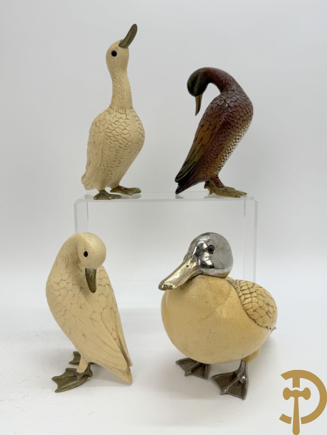 MALEVOLTI getekend (Eli) 