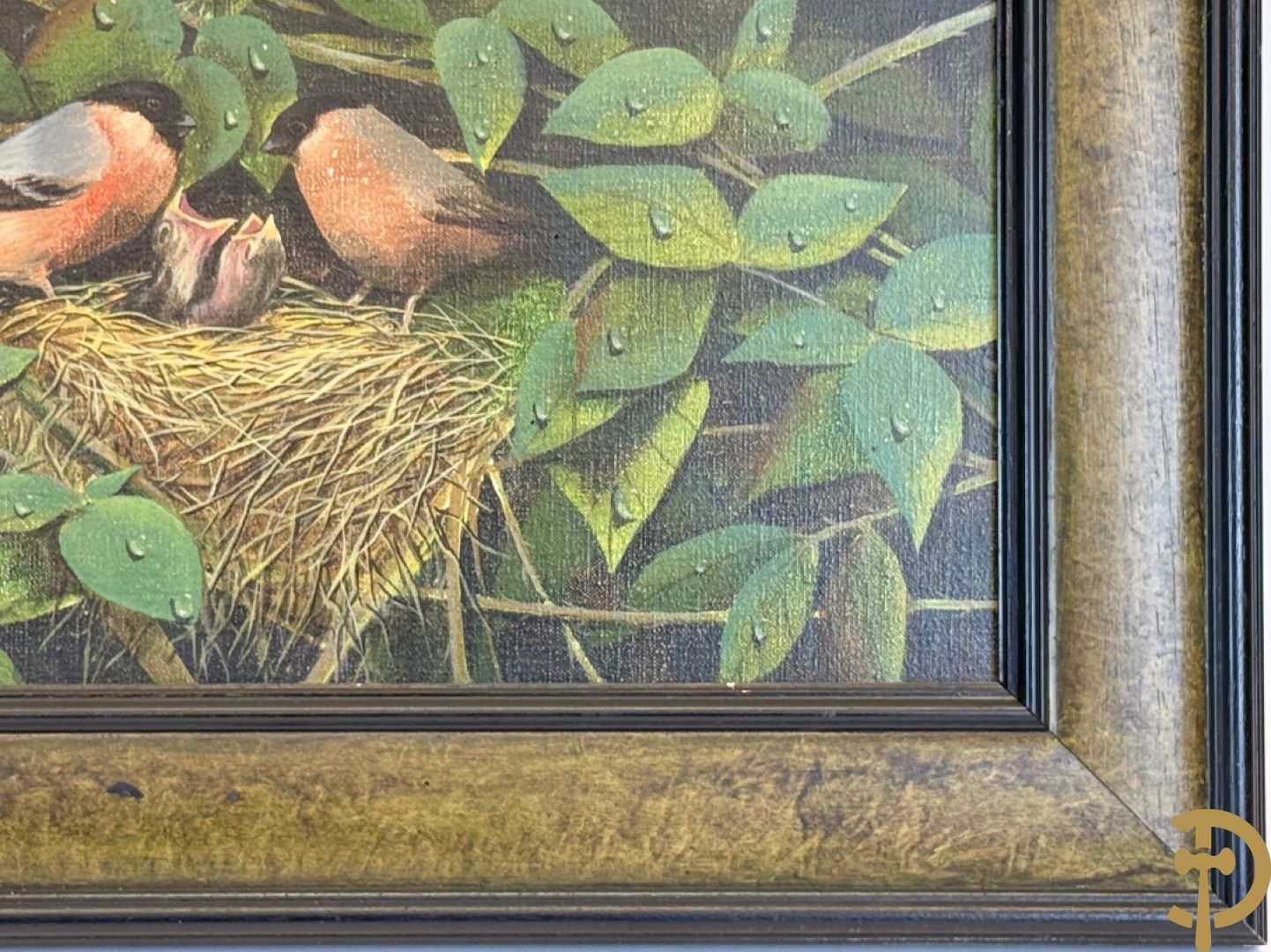 BOGAERT Frank getekend 