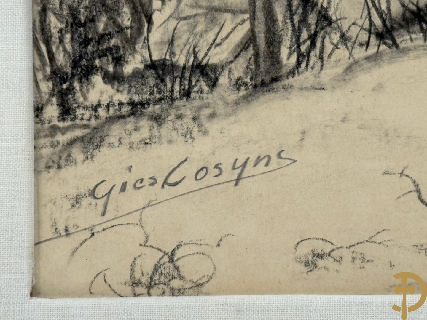 COSYNS Gies getekend 