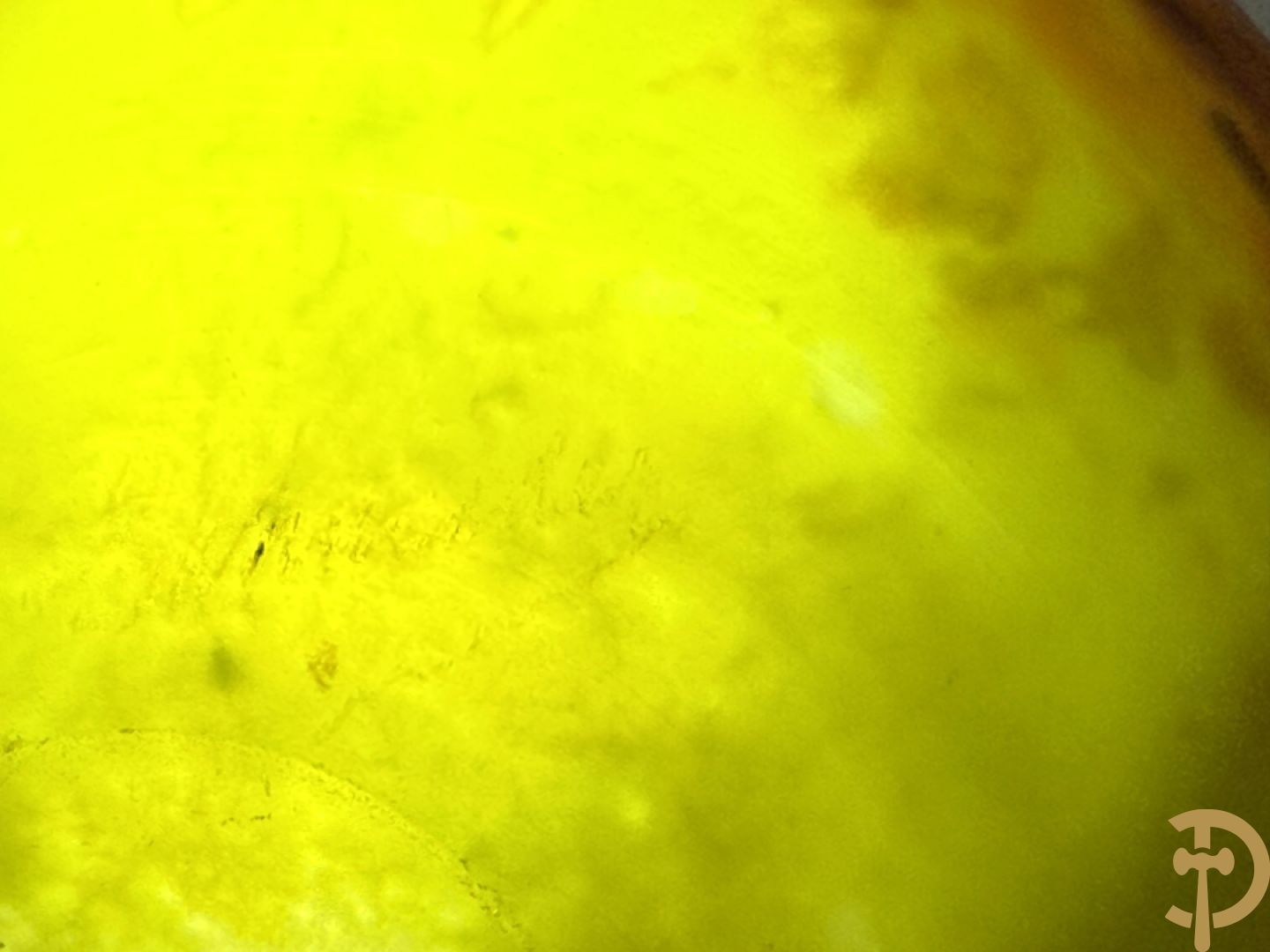 Kleurrijke kleine pate de verre coupe oranje/geel, Schneider getekend