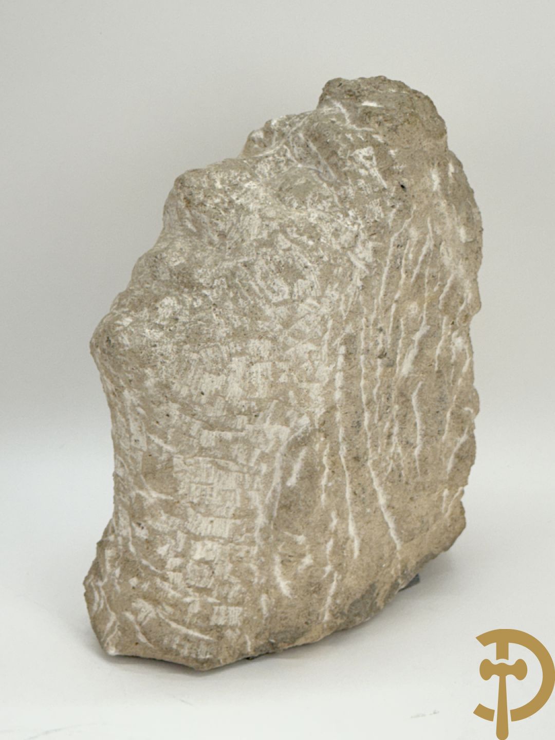 VERMANDERE Willem van 