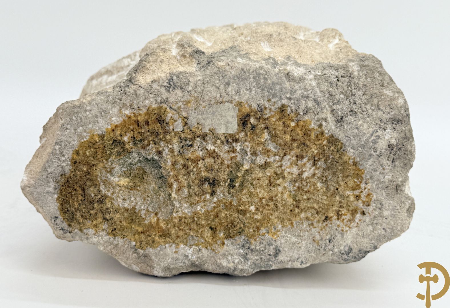 VERMANDERE Willem van 