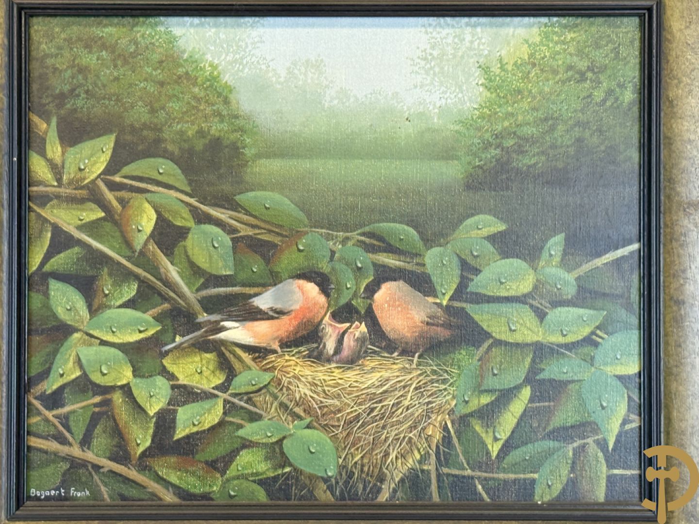 BOGAERT Frank getekend 