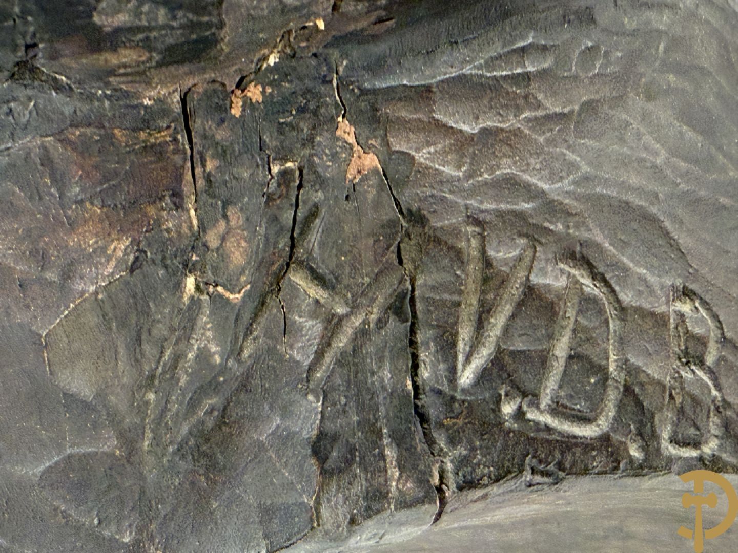 V. D. BROUCK H. getekend 