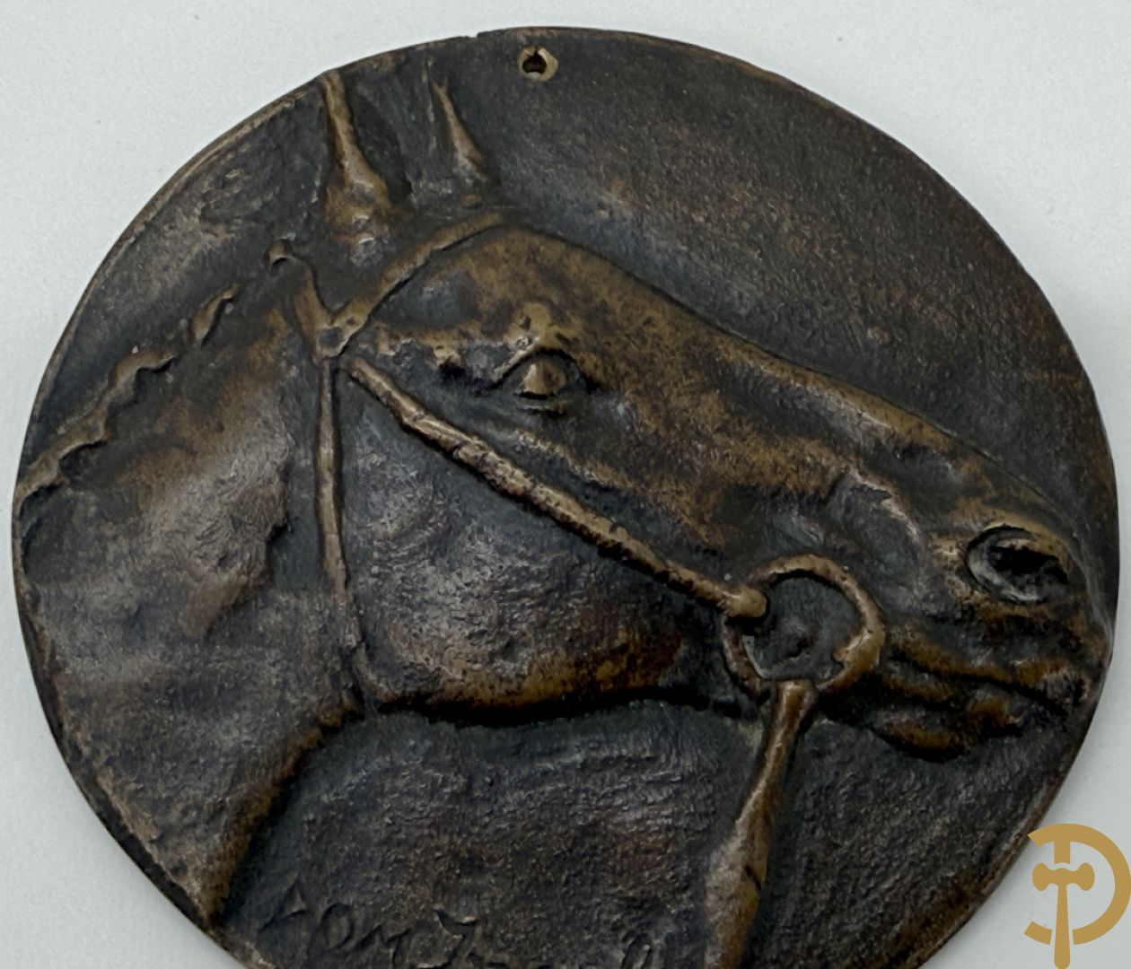 INGELS Dom. (Domien) 