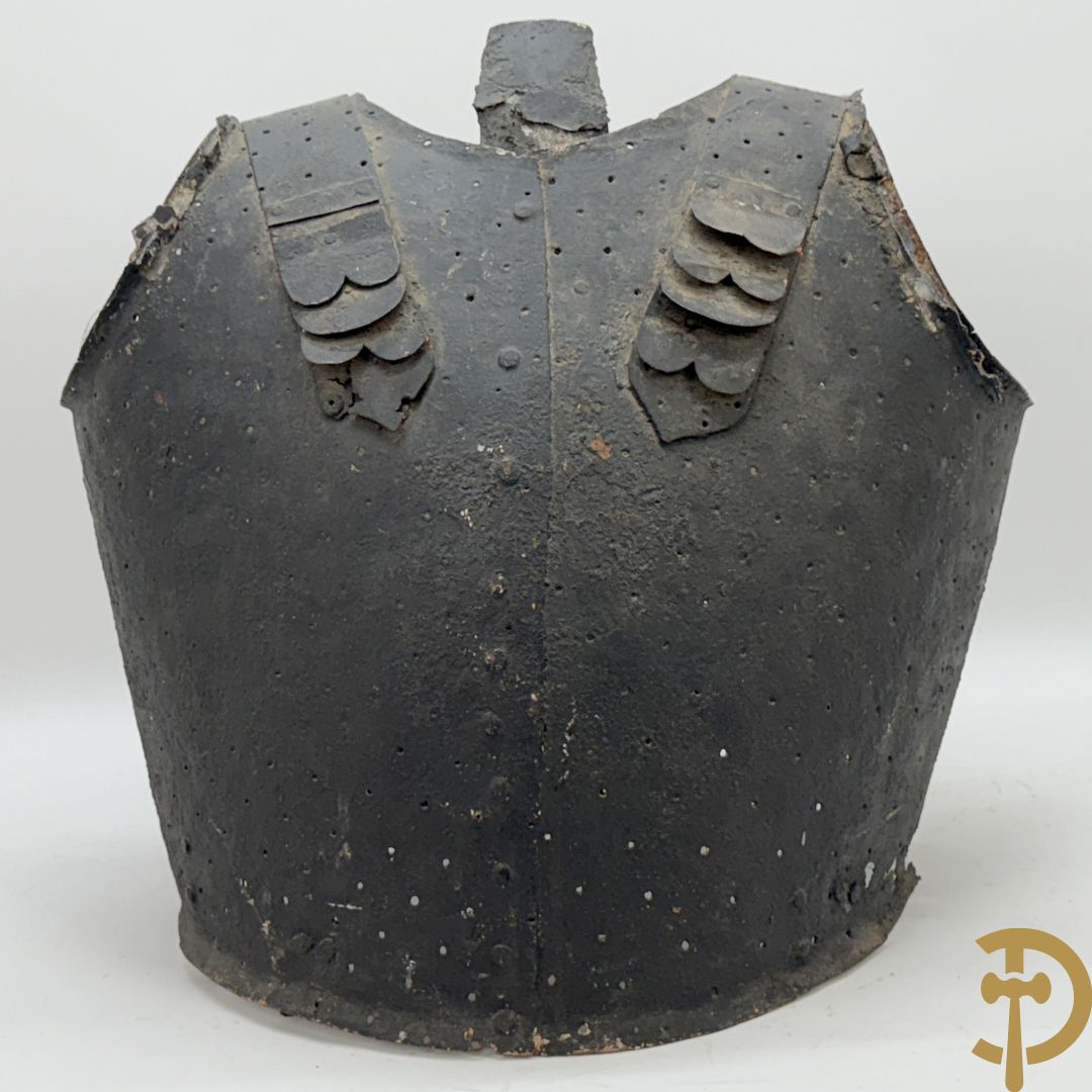 Metalen 19e schermharnas