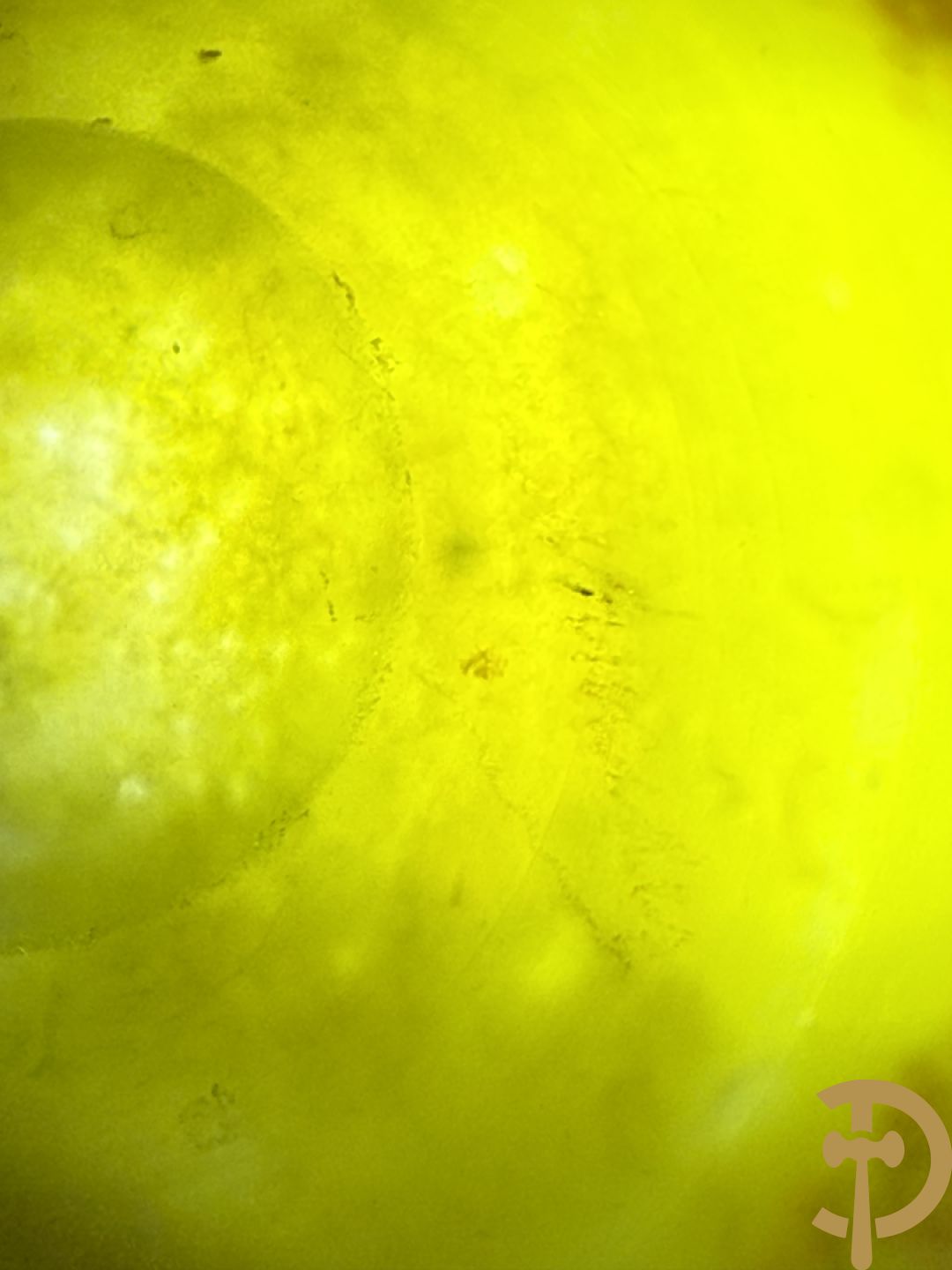 Kleurrijke kleine pate de verre coupe oranje/geel, Schneider getekend