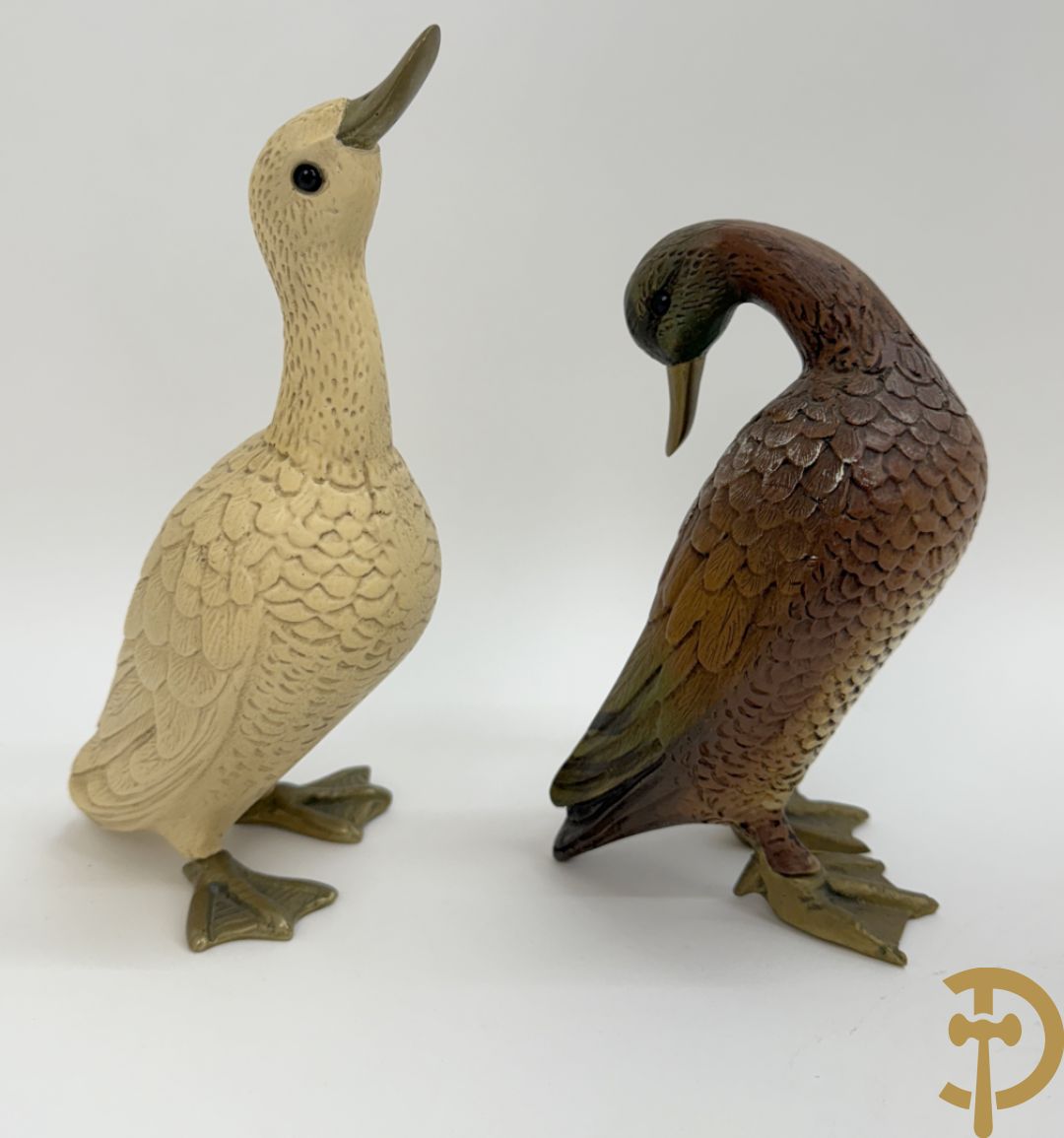 MALEVOLTI getekend (Eli) 