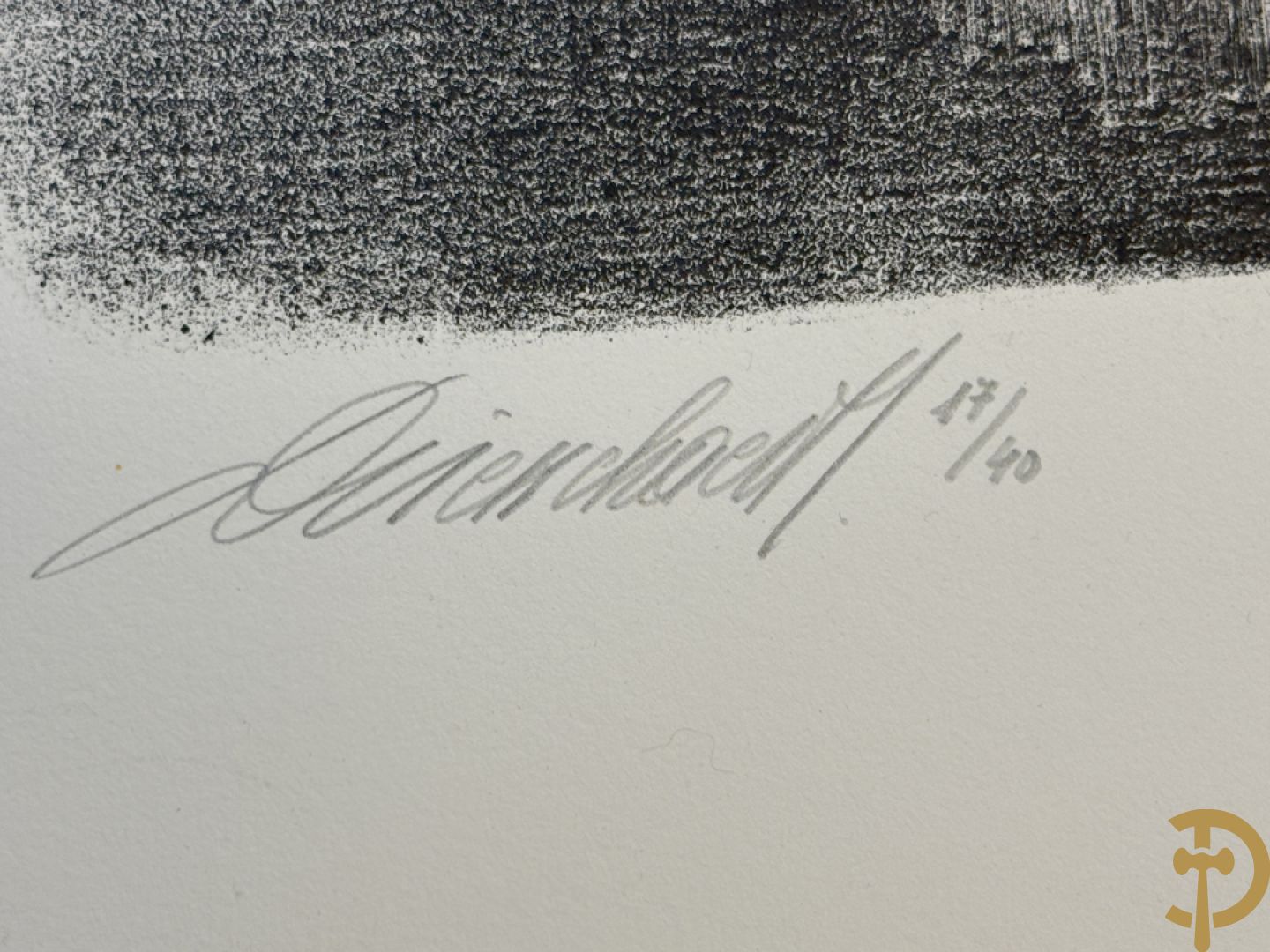 DRIESSCHAERT H. get. Kunstmap met 15 lithografieën met inleidend woord van Gaby Gyselen - 17/40 + DRIESSCHAERT getekend 