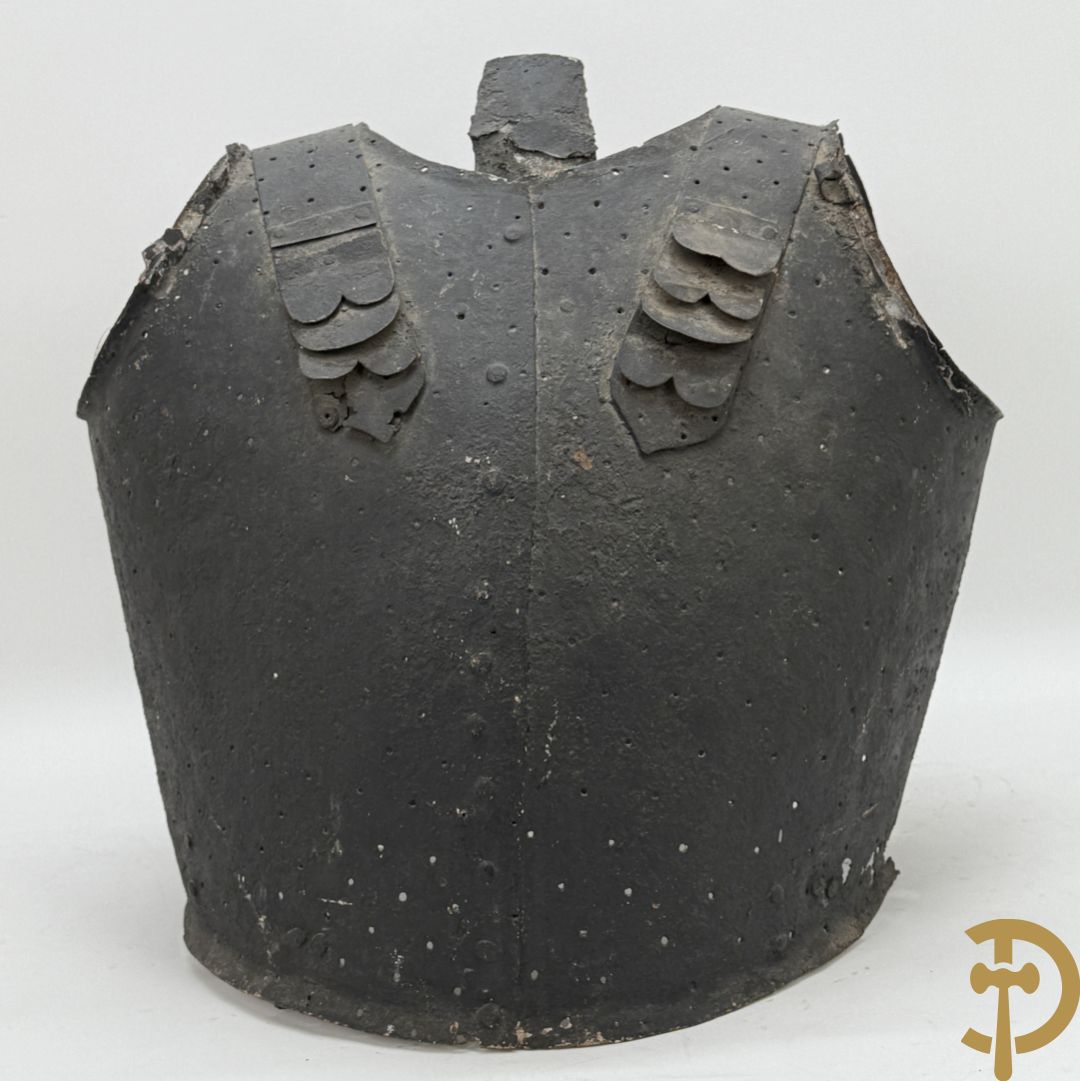 Metalen 19e schermharnas