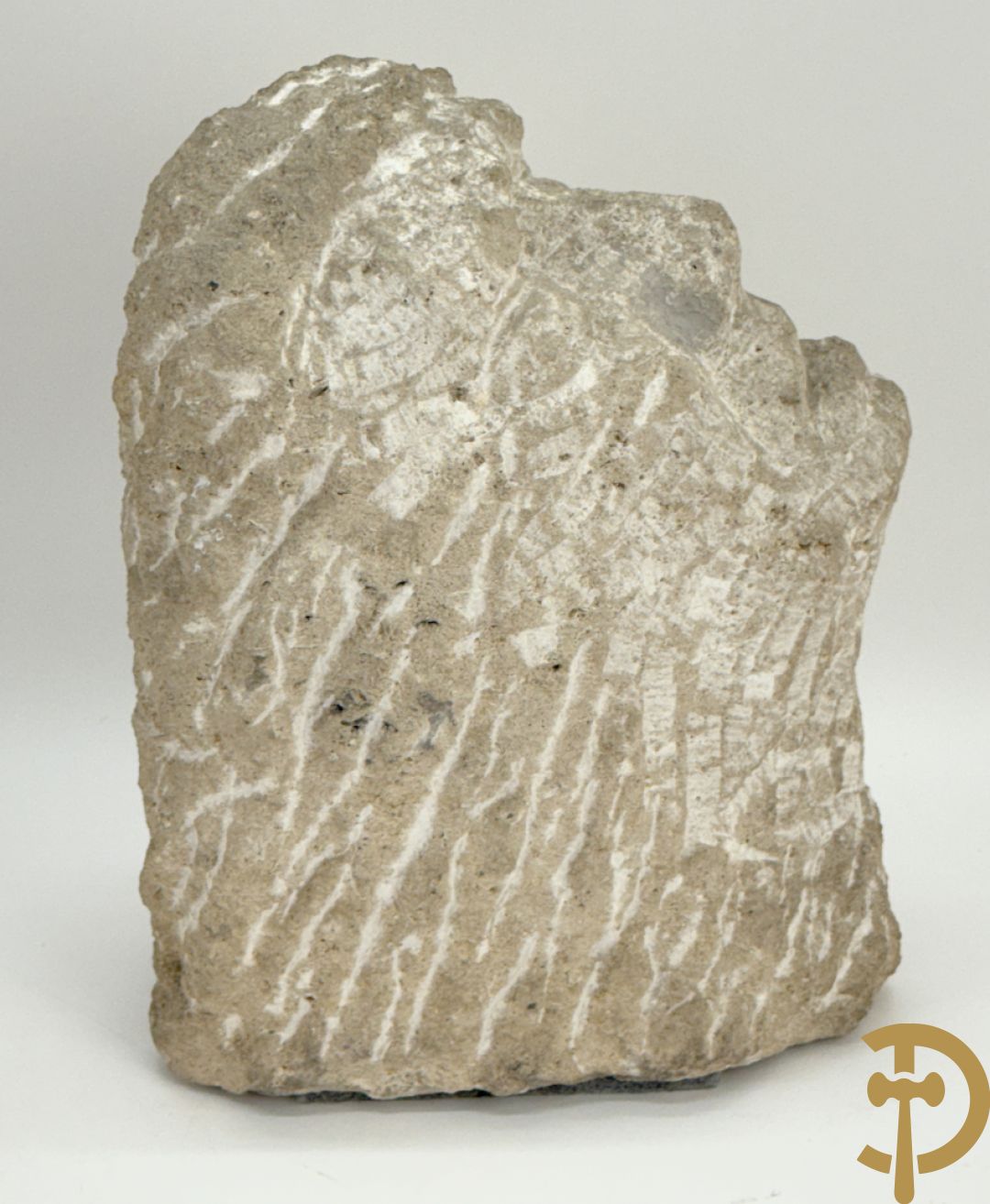 VERMANDERE Willem van 