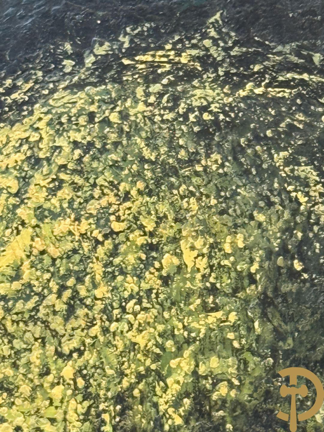 DE RO Luc getekend (Robert Bergmans) 