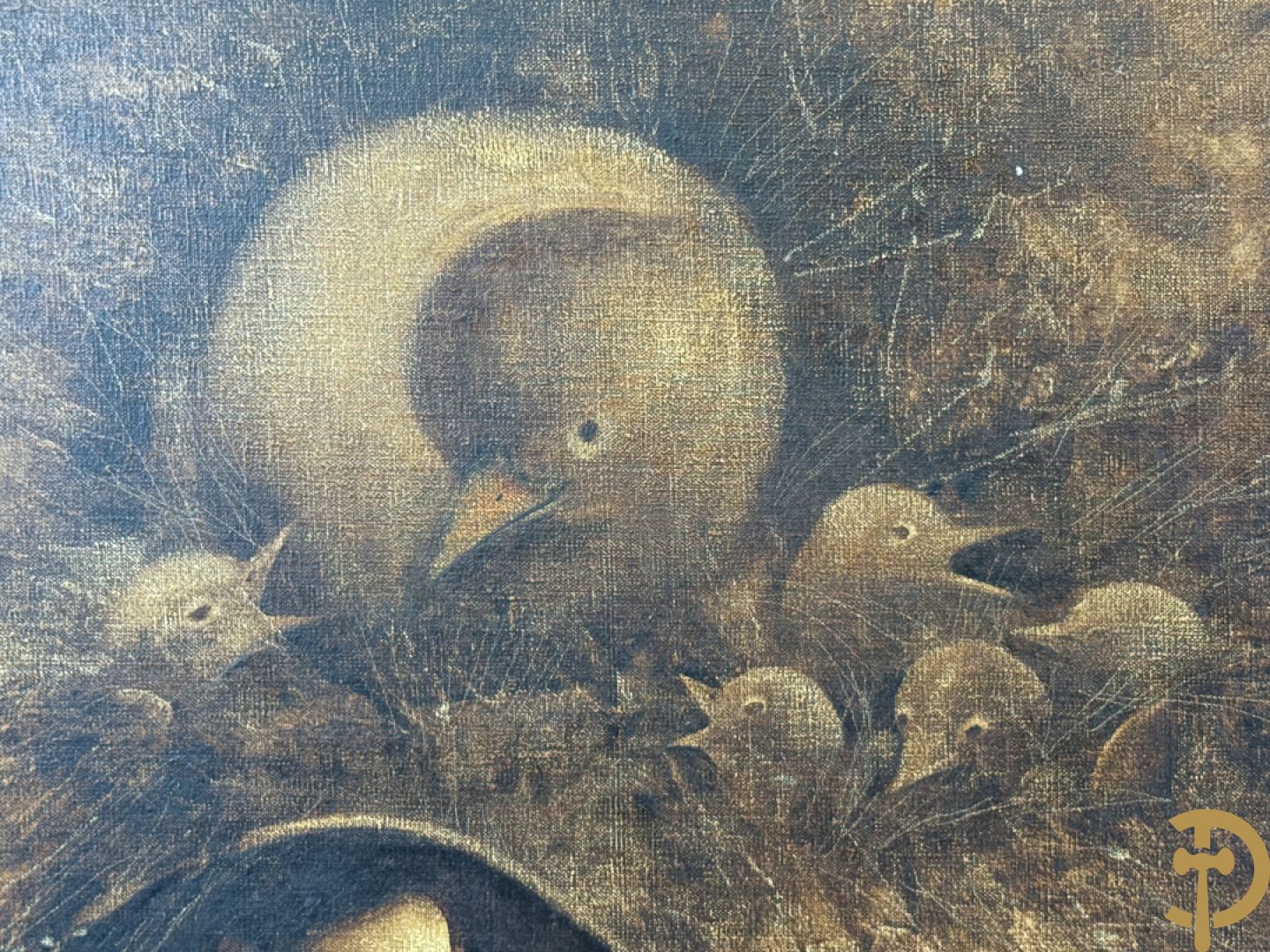 Ongetekend (Musin Maurice?)  