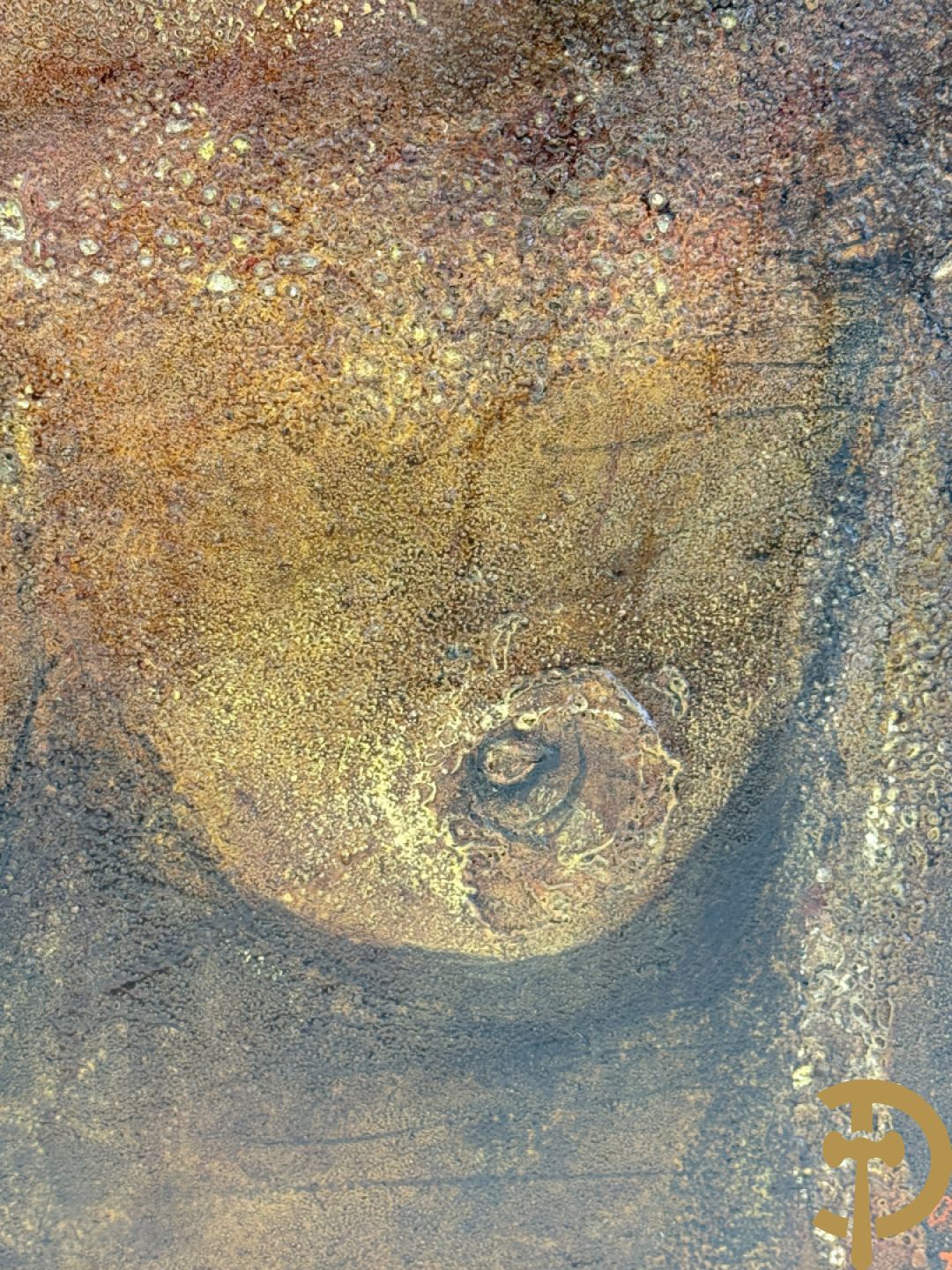 DELTOUR Marc getekend 1977 