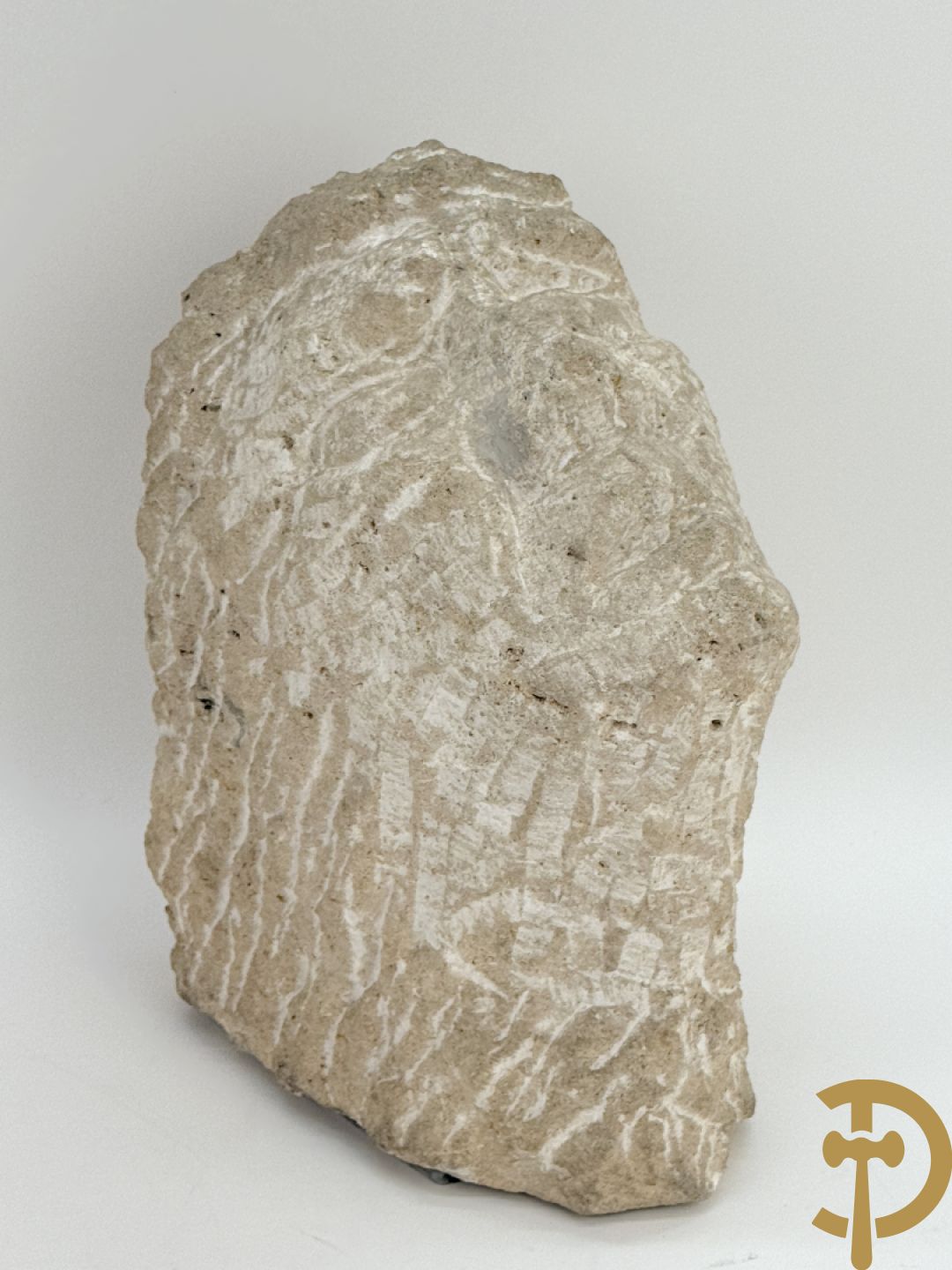 VERMANDERE Willem van 