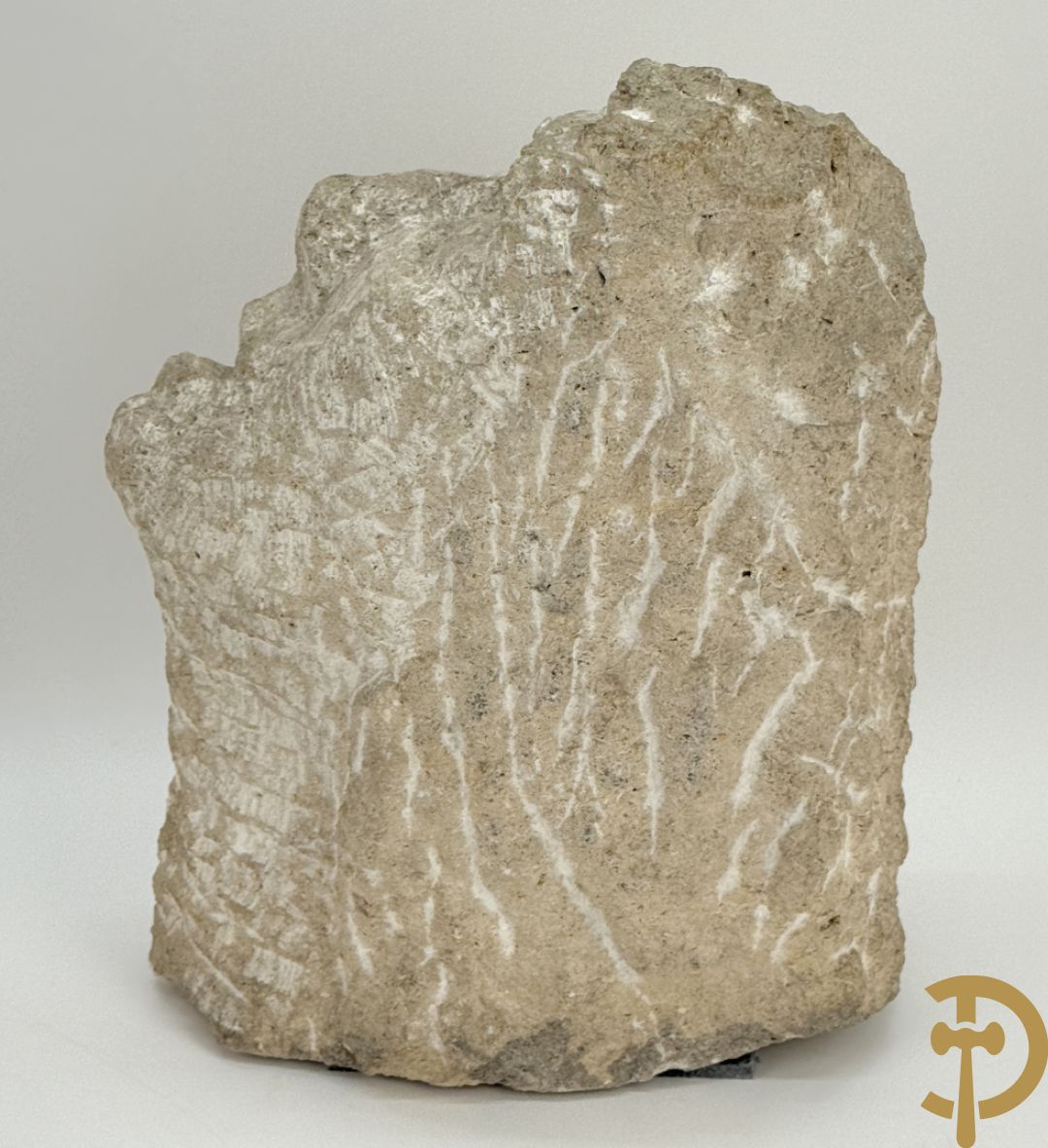 VERMANDERE Willem van 