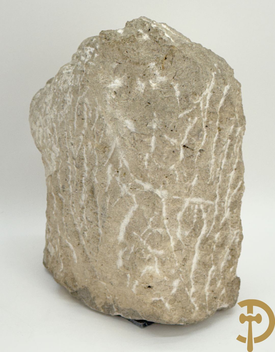 VERMANDERE Willem van 