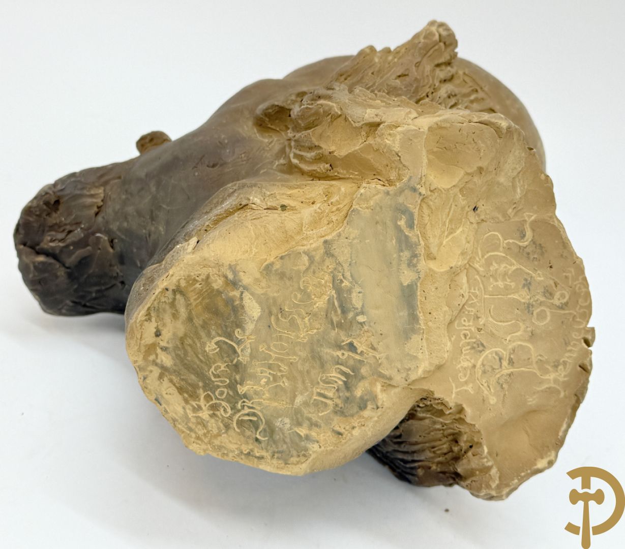 Houtgesculpteerd eiken basrelief karakterkop van man met baard + terra cotta karakterkop van man met baard, achteraan gemerkt Buster 