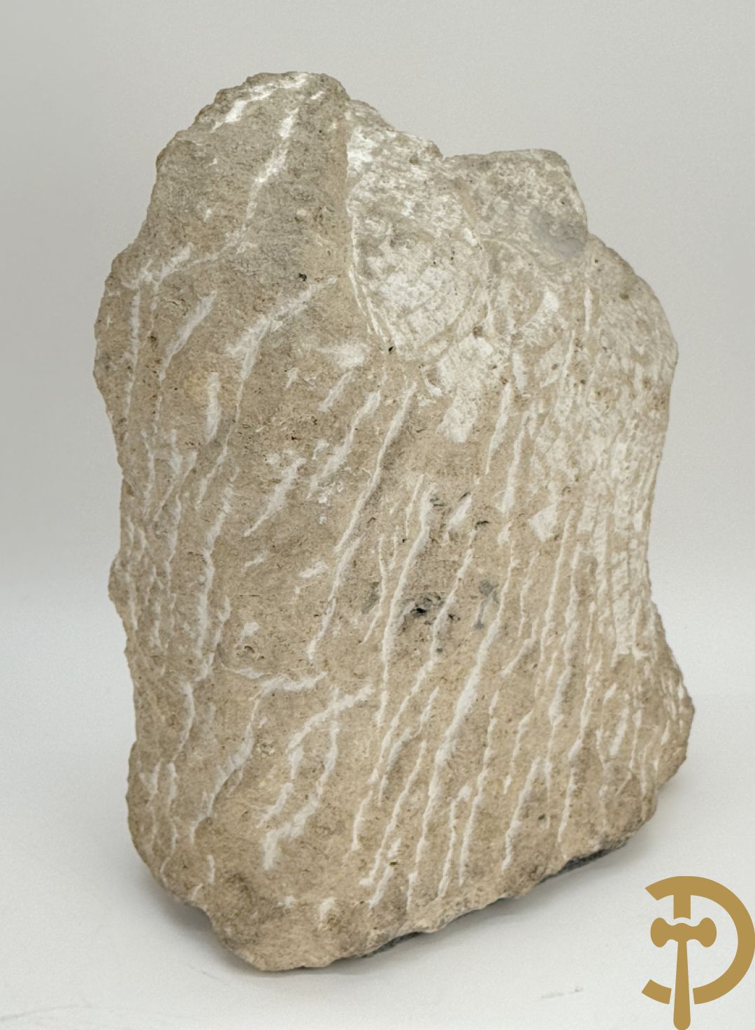 VERMANDERE Willem van 