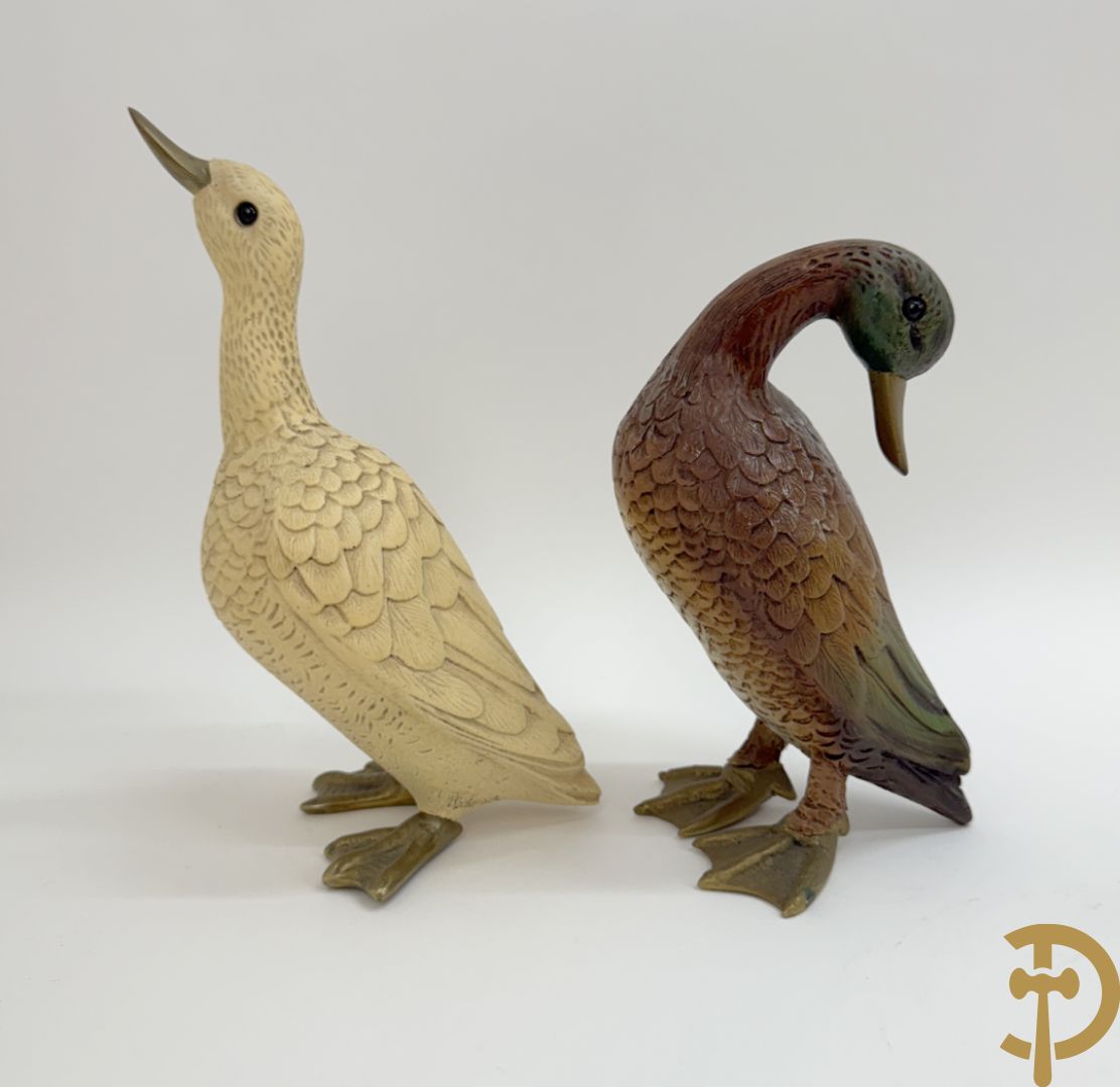 MALEVOLTI getekend (Eli) 